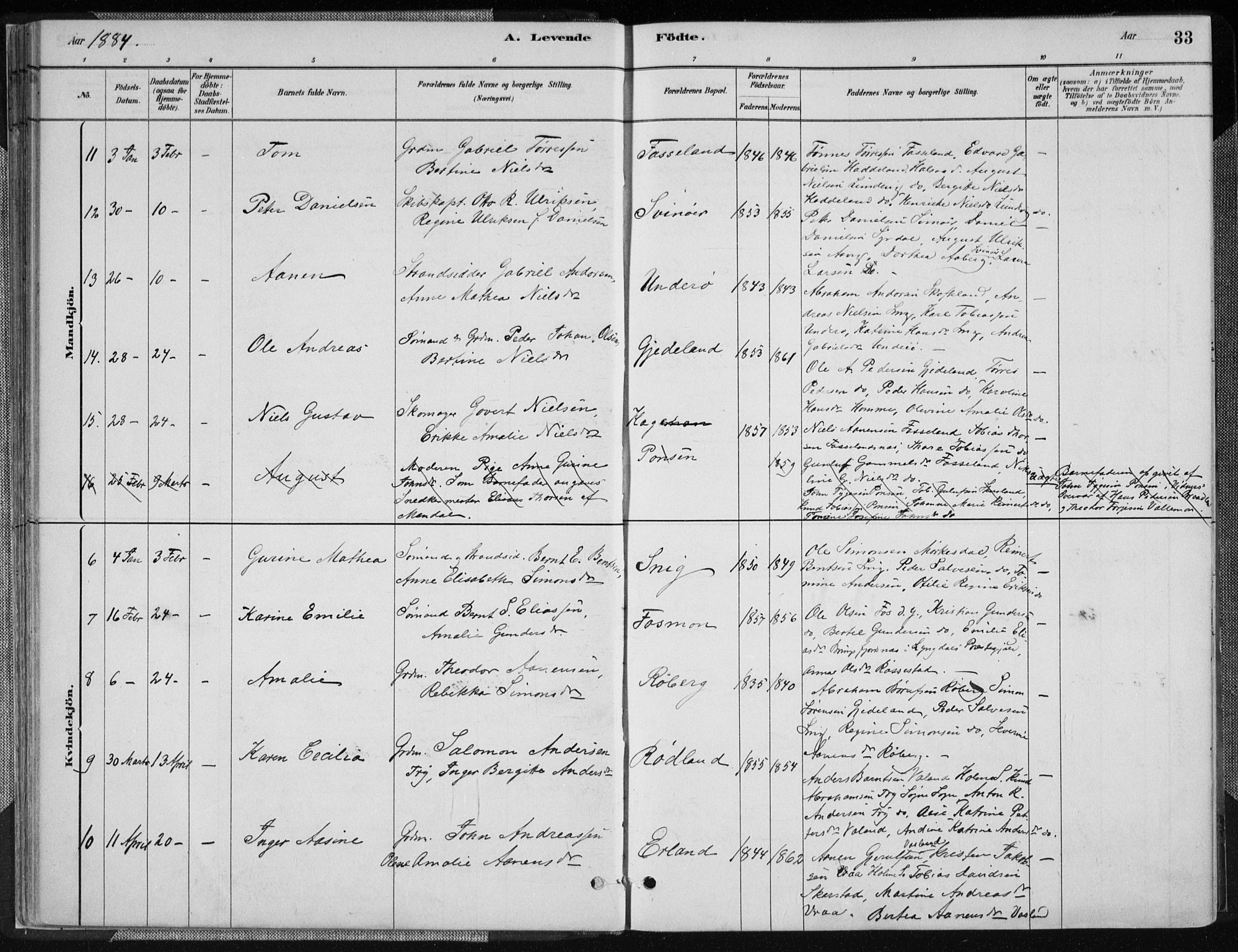 Sør-Audnedal sokneprestkontor, AV/SAK-1111-0039/F/Fa/Fab/L0009: Parish register (official) no. A 9, 1880-1895, p. 33