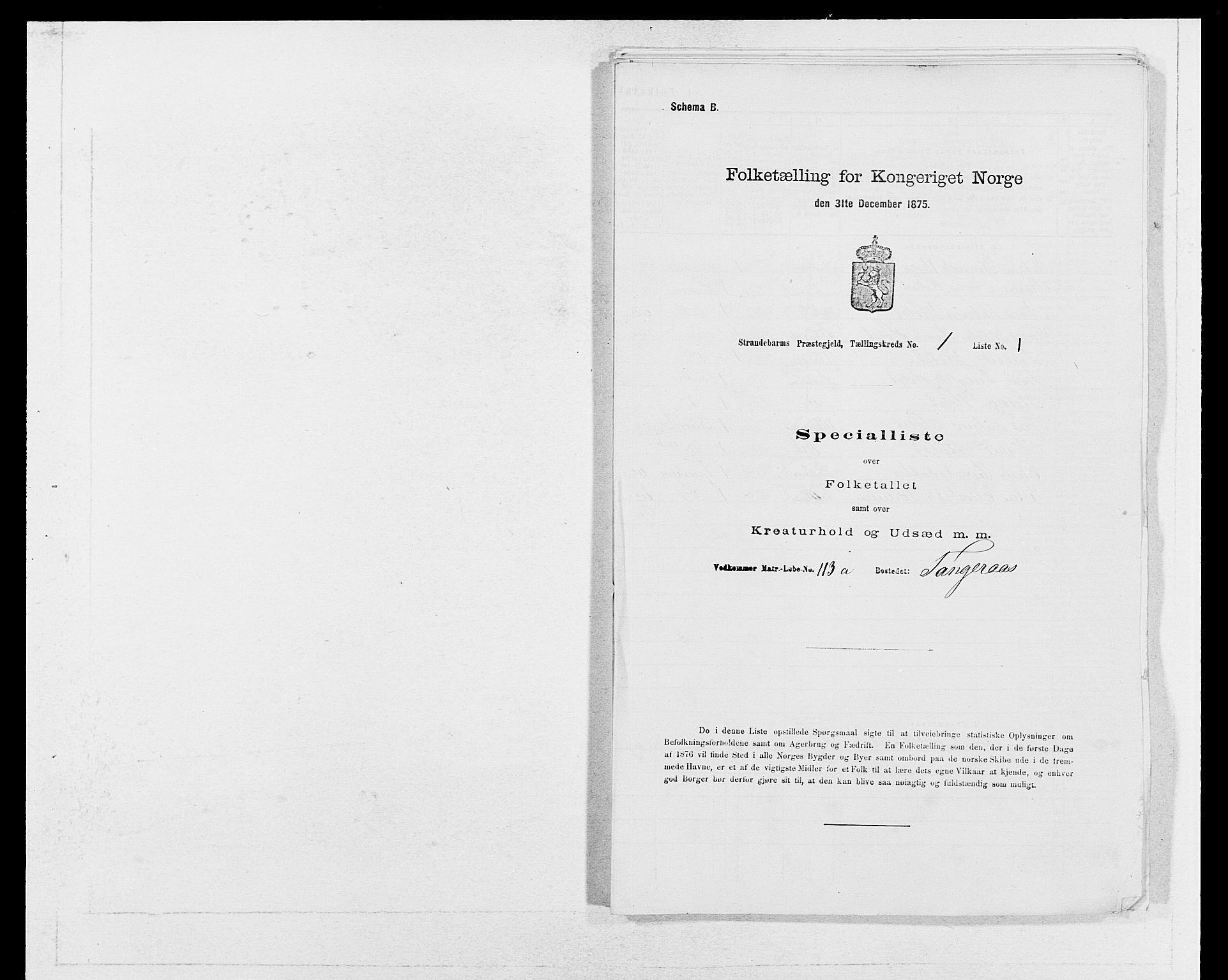 SAB, 1875 census for 1226P Strandebarm, 1875, p. 29