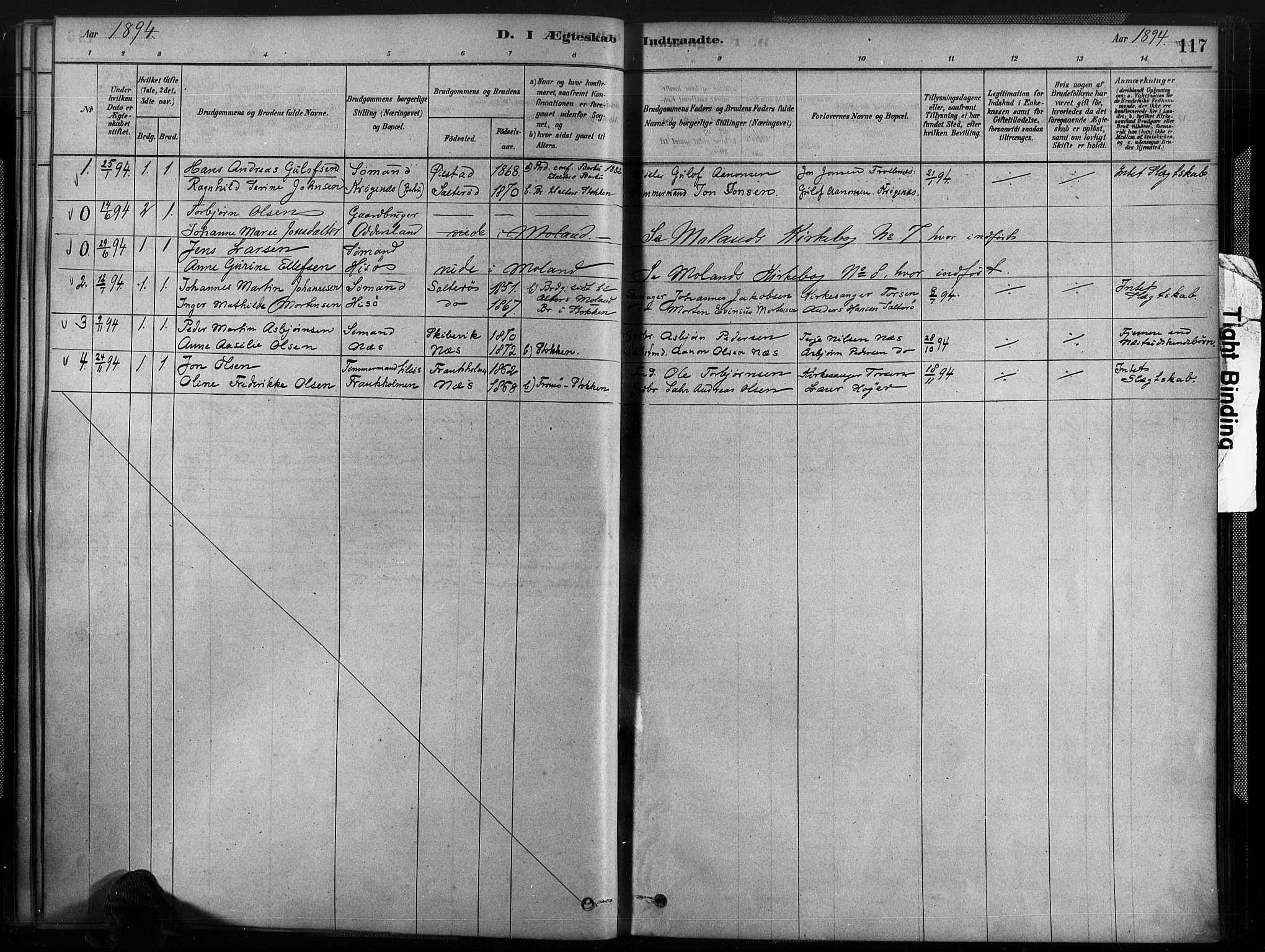 Austre Moland sokneprestkontor, SAK/1111-0001/F/Fa/Fab/L0001: Parish register (official) no. A 1, 1878-1898, p. 117