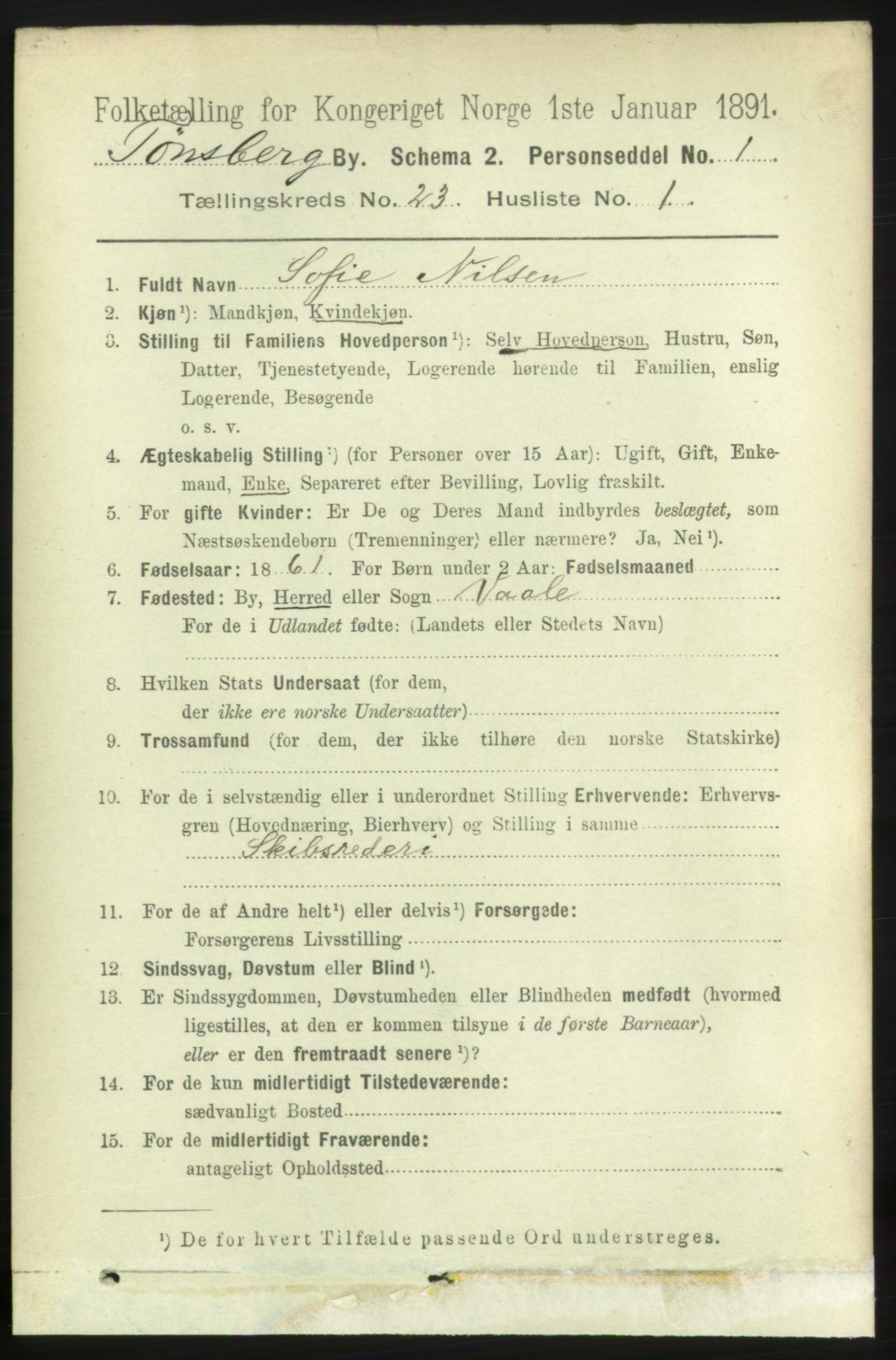 RA, 1891 census for 0705 Tønsberg, 1891, p. 6011