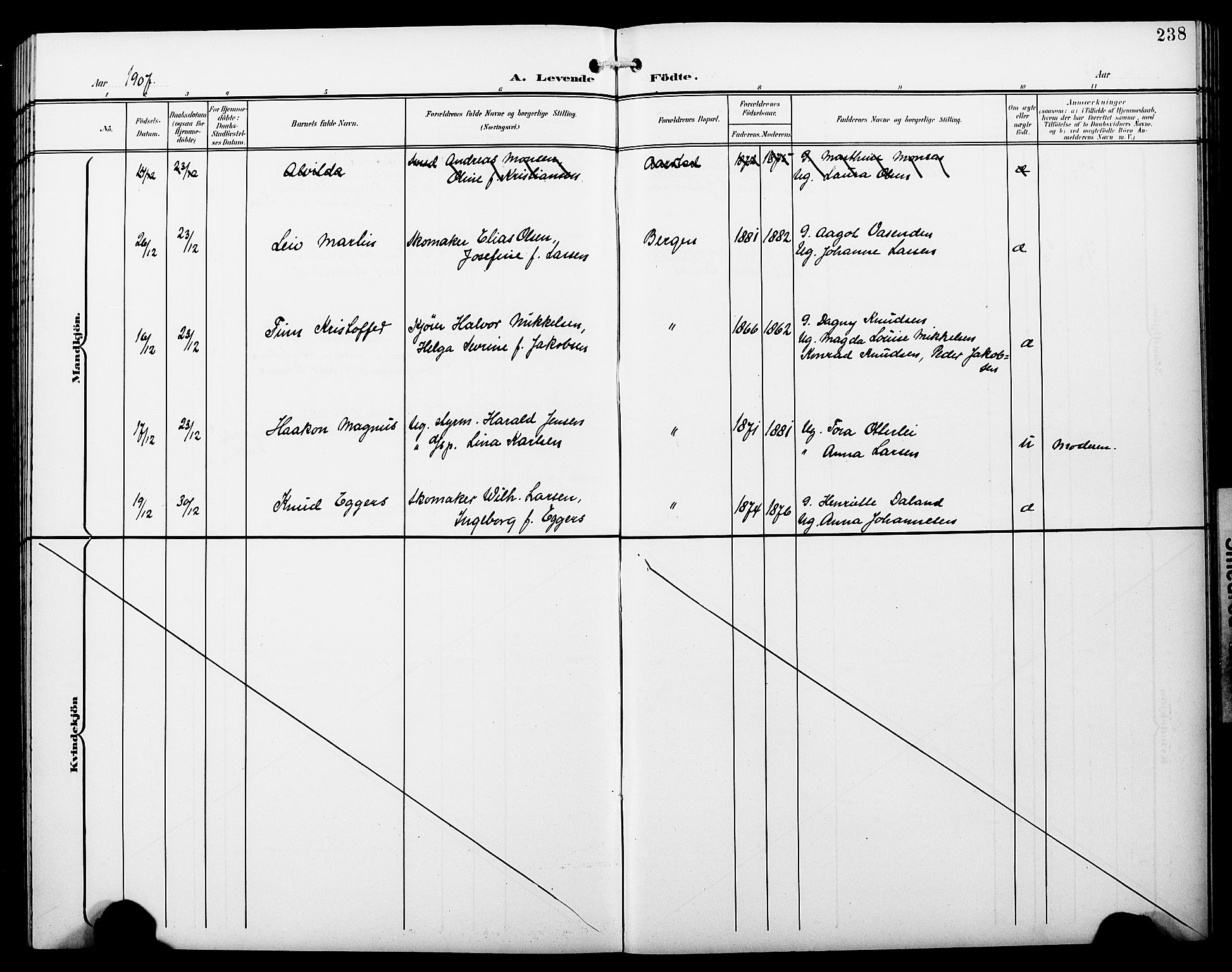 Fødselsstiftelsens sokneprestembete*, SAB/-: Parish register (copy) no. A 1, 1900-1909, p. 238