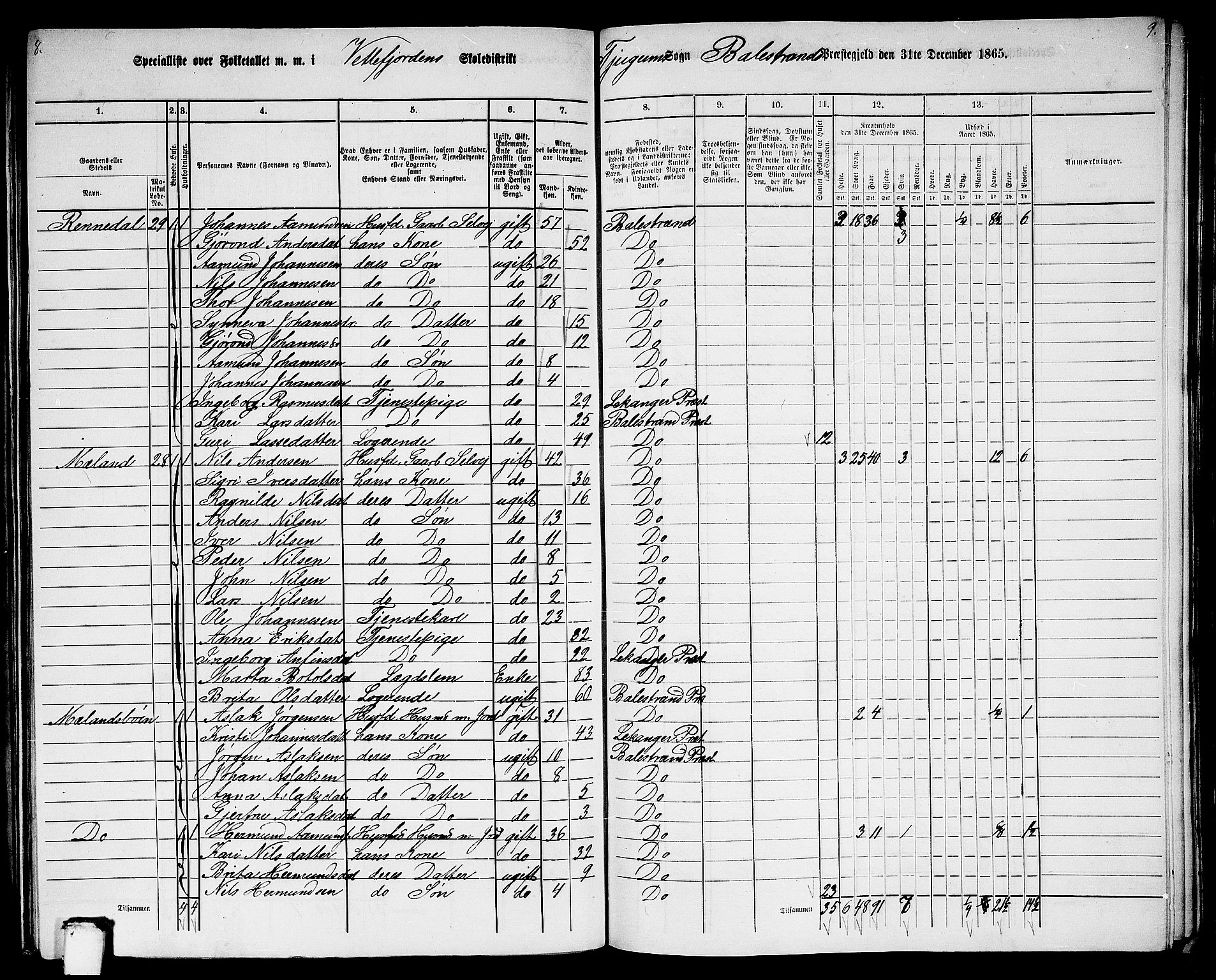 RA, 1865 census for Balestrand, 1865, p. 41