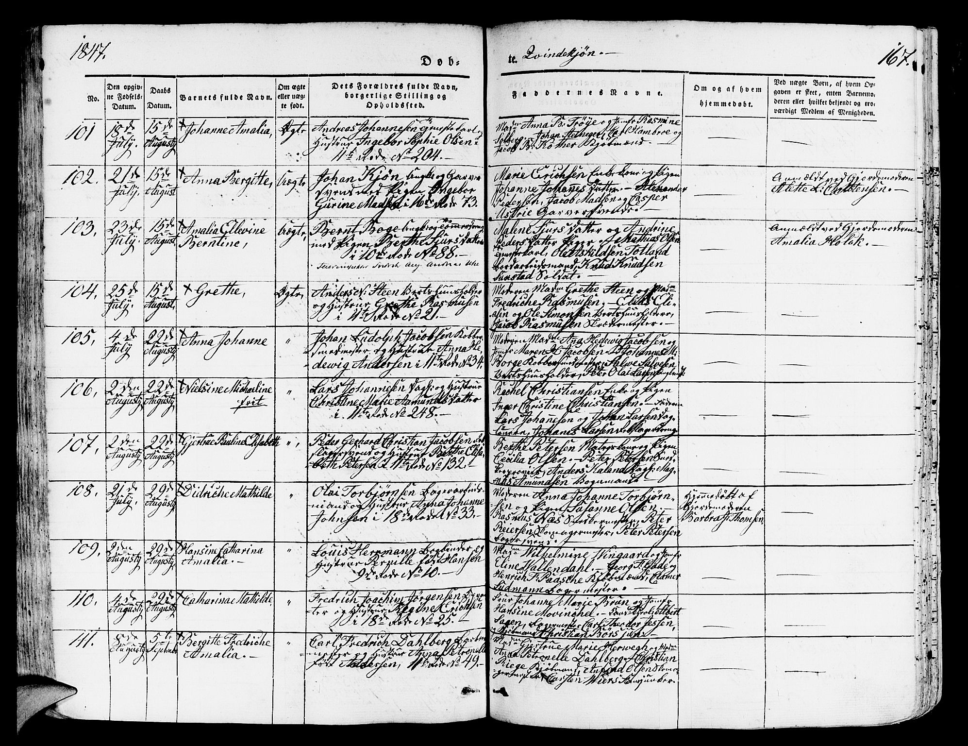 Domkirken sokneprestembete, AV/SAB-A-74801/H/Hab/L0009: Parish register (copy) no. B 2, 1842-1849, p. 167