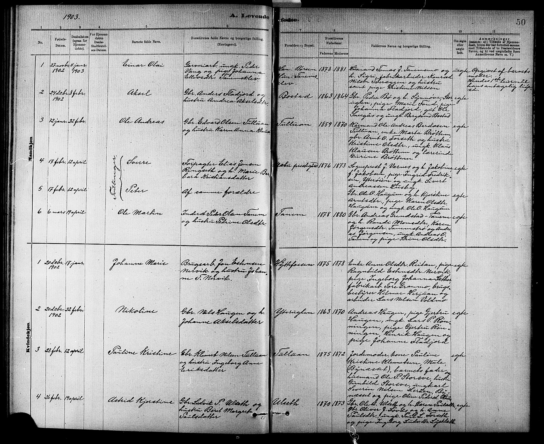 Ministerialprotokoller, klokkerbøker og fødselsregistre - Sør-Trøndelag, SAT/A-1456/618/L0452: Parish register (copy) no. 618C03, 1884-1906, p. 50