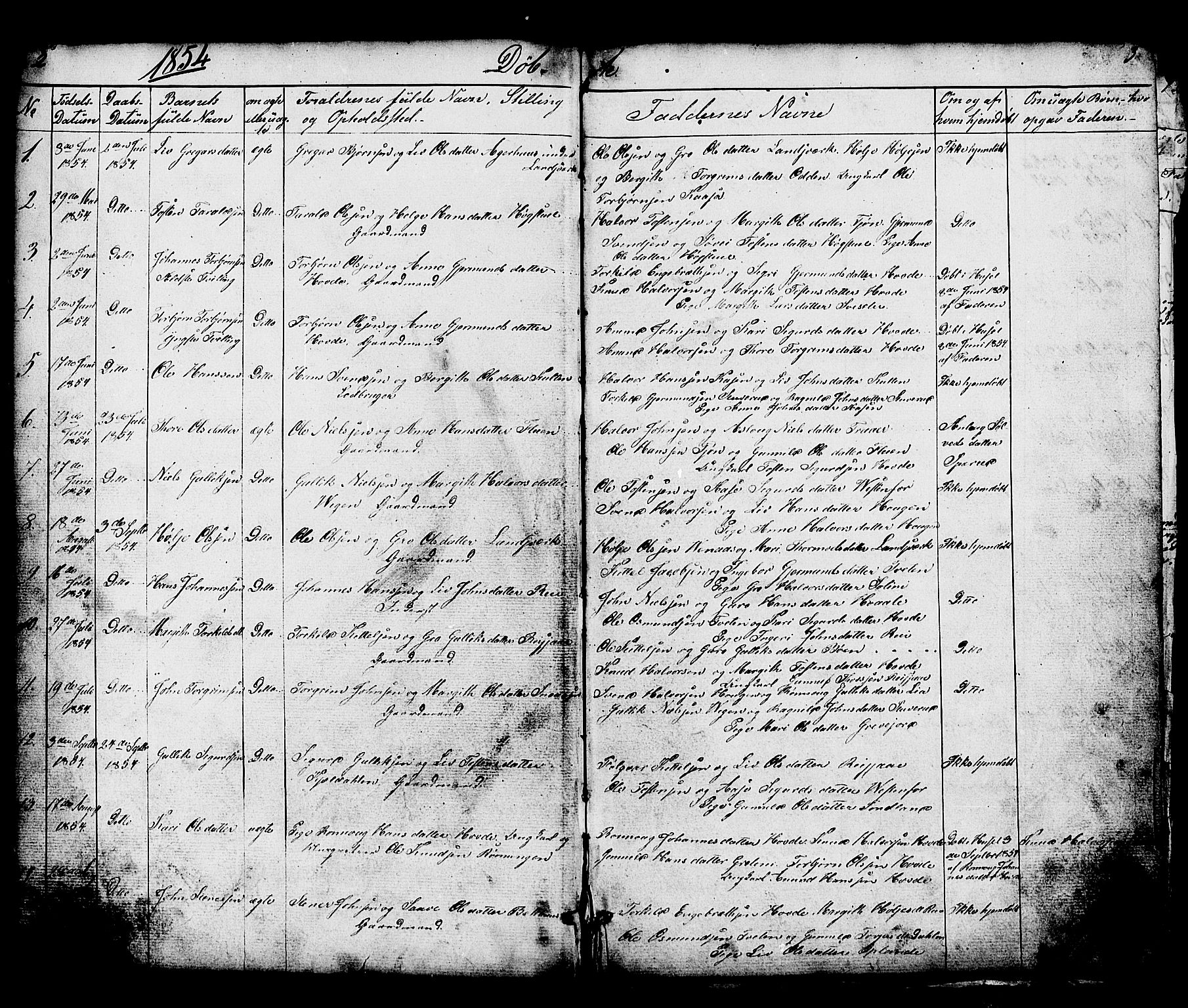 Hjartdal kirkebøker, SAKO/A-270/G/Gc/L0002: Parish register (copy) no. III 2, 1854-1890, p. 2-3