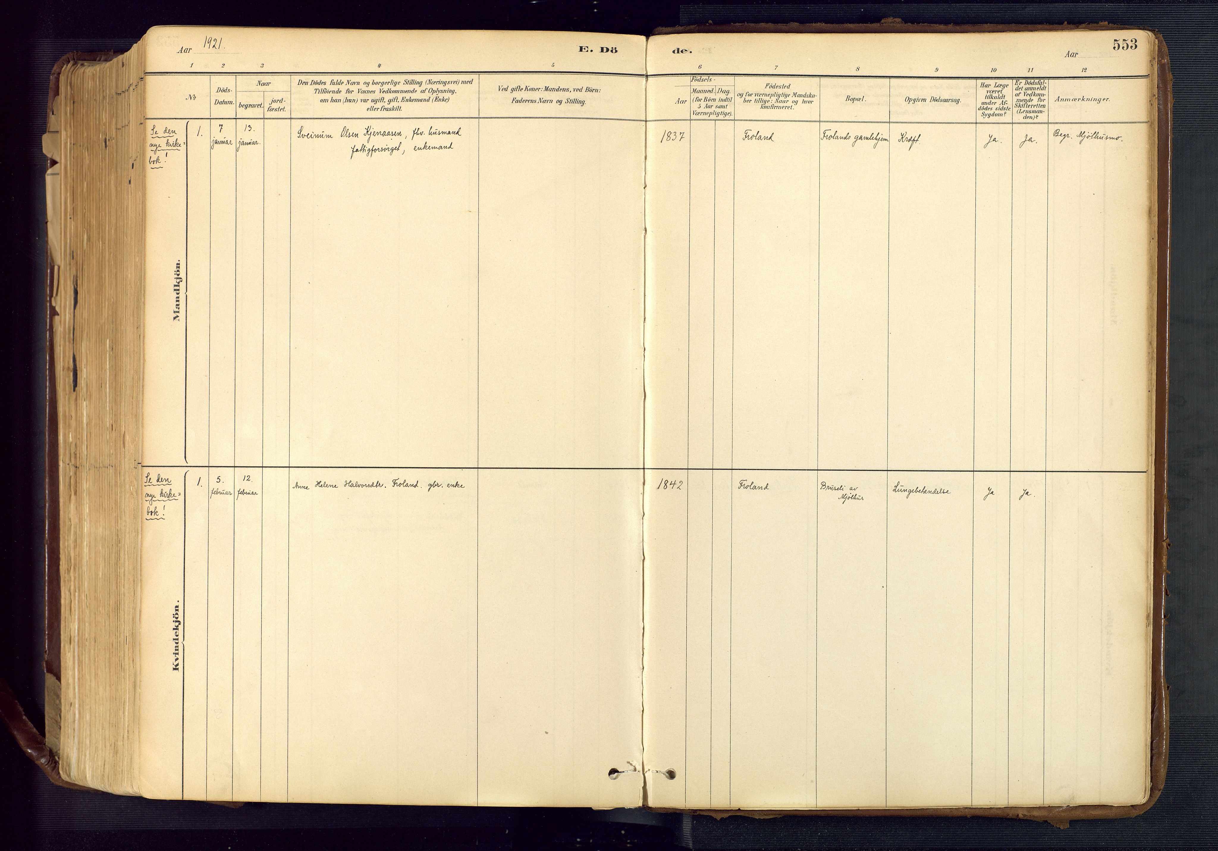 Froland sokneprestkontor, SAK/1111-0013/F/Fa/L0005: Parish register (official) no. A 5, 1882-1921, p. 553
