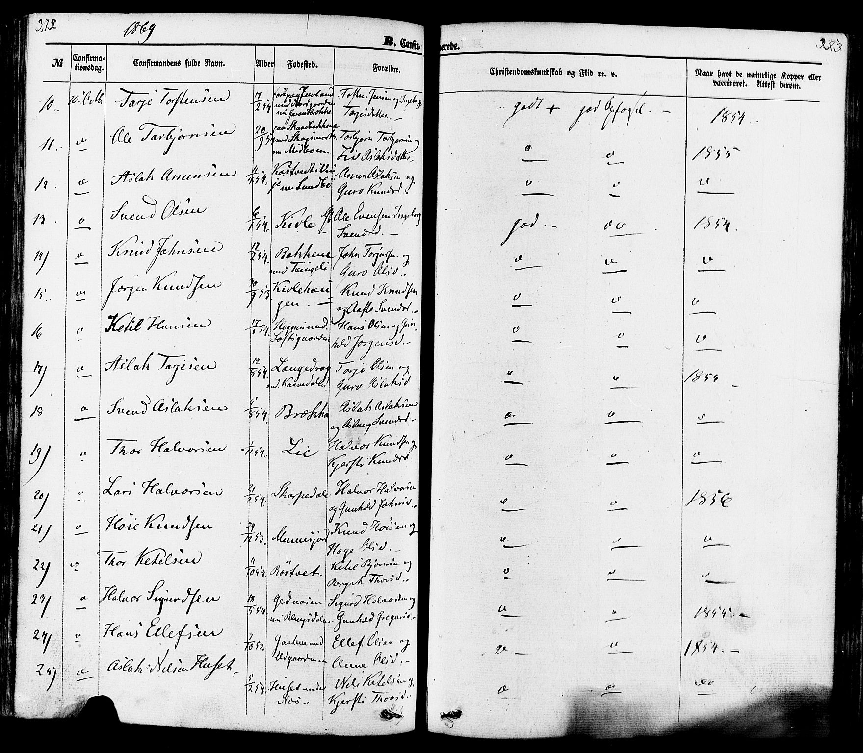 Seljord kirkebøker, SAKO/A-20/F/Fa/L0013: Parish register (official) no. I 13, 1866-1876, p. 372-373