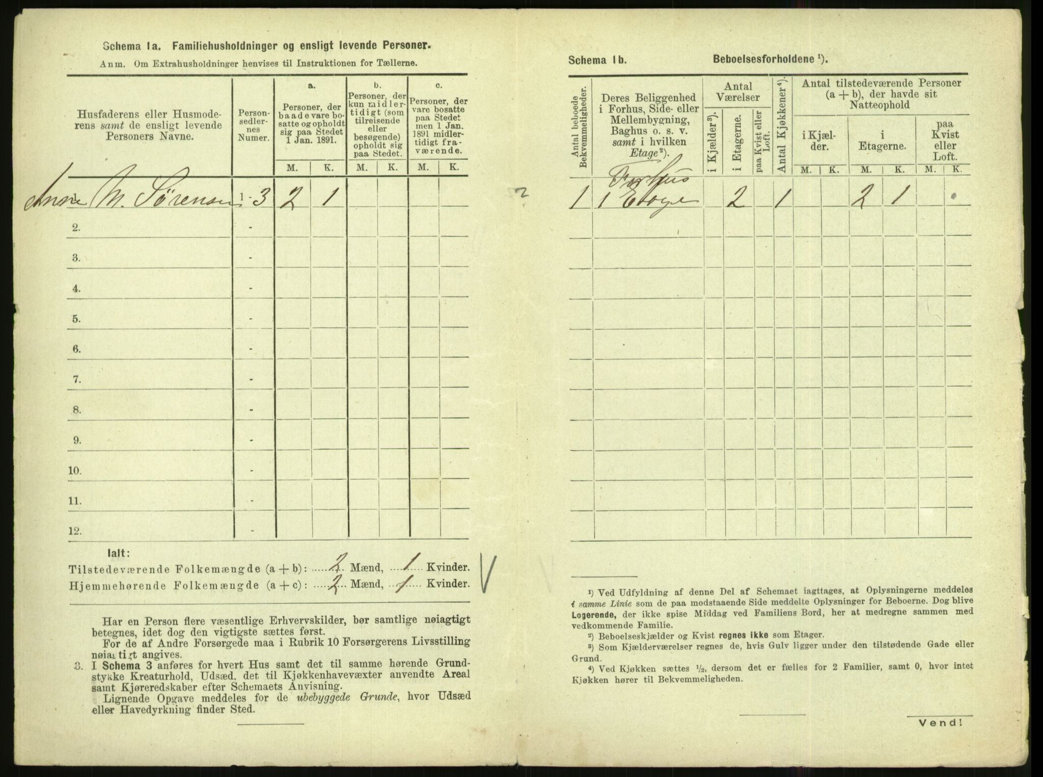 RA, 1891 census for 1002 Mandal, 1891, p. 160