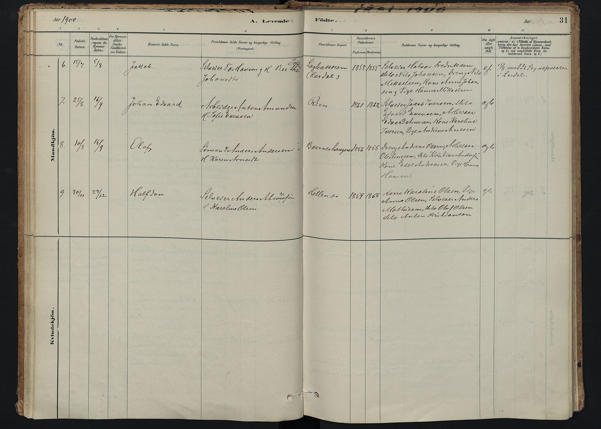 Hedrum kirkebøker, SAKO/A-344/F/Fc/L0001: Parish register (official) no. III 1, 1881-1906, p. 31