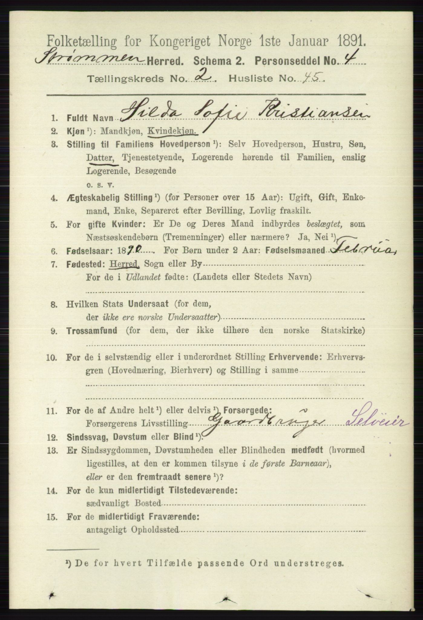 RA, 1891 census for 0711 Strømm, 1891, p. 964