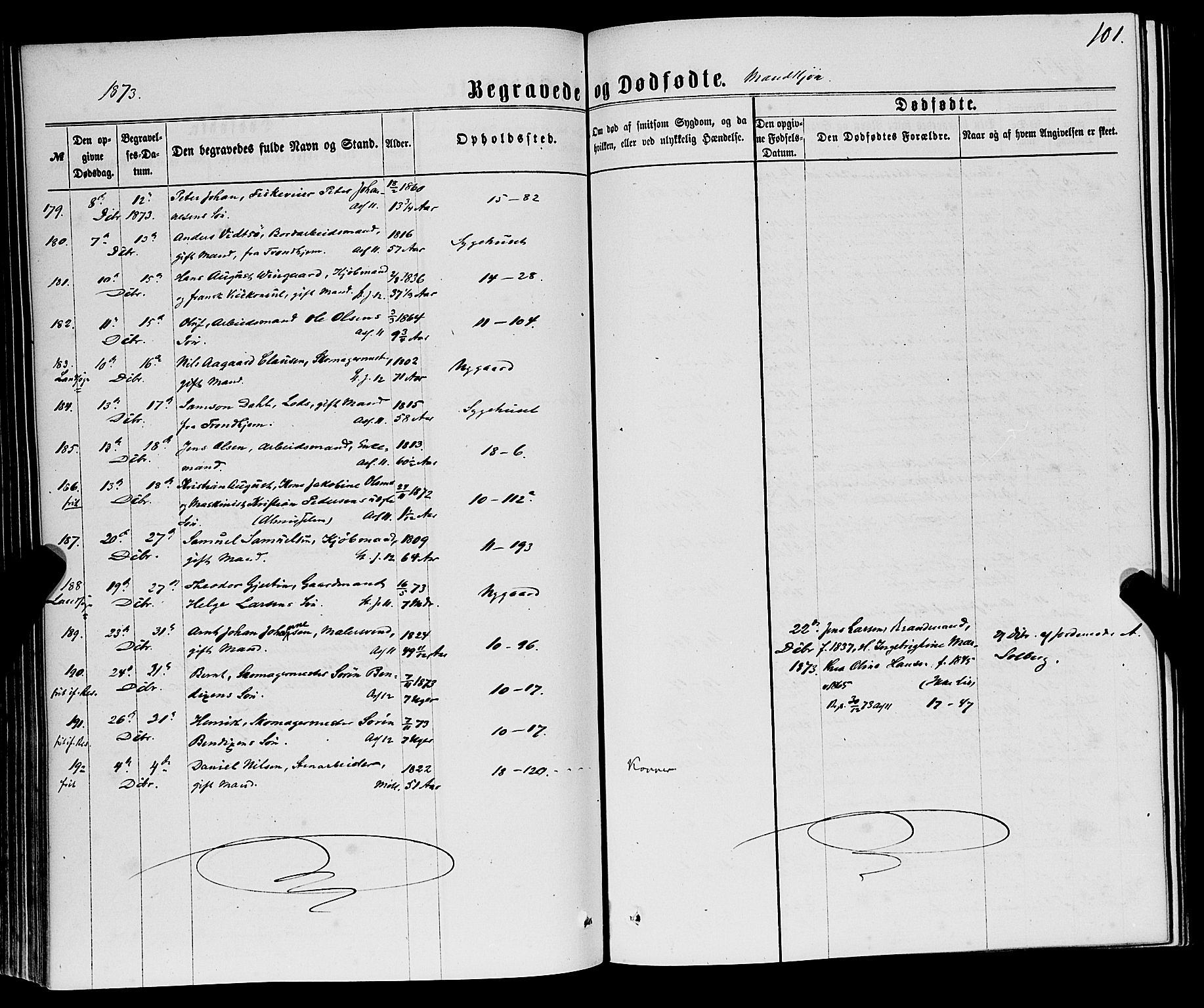 Domkirken sokneprestembete, SAB/A-74801/H/Haa/L0042: Parish register (official) no. E 3, 1863-1876, p. 101
