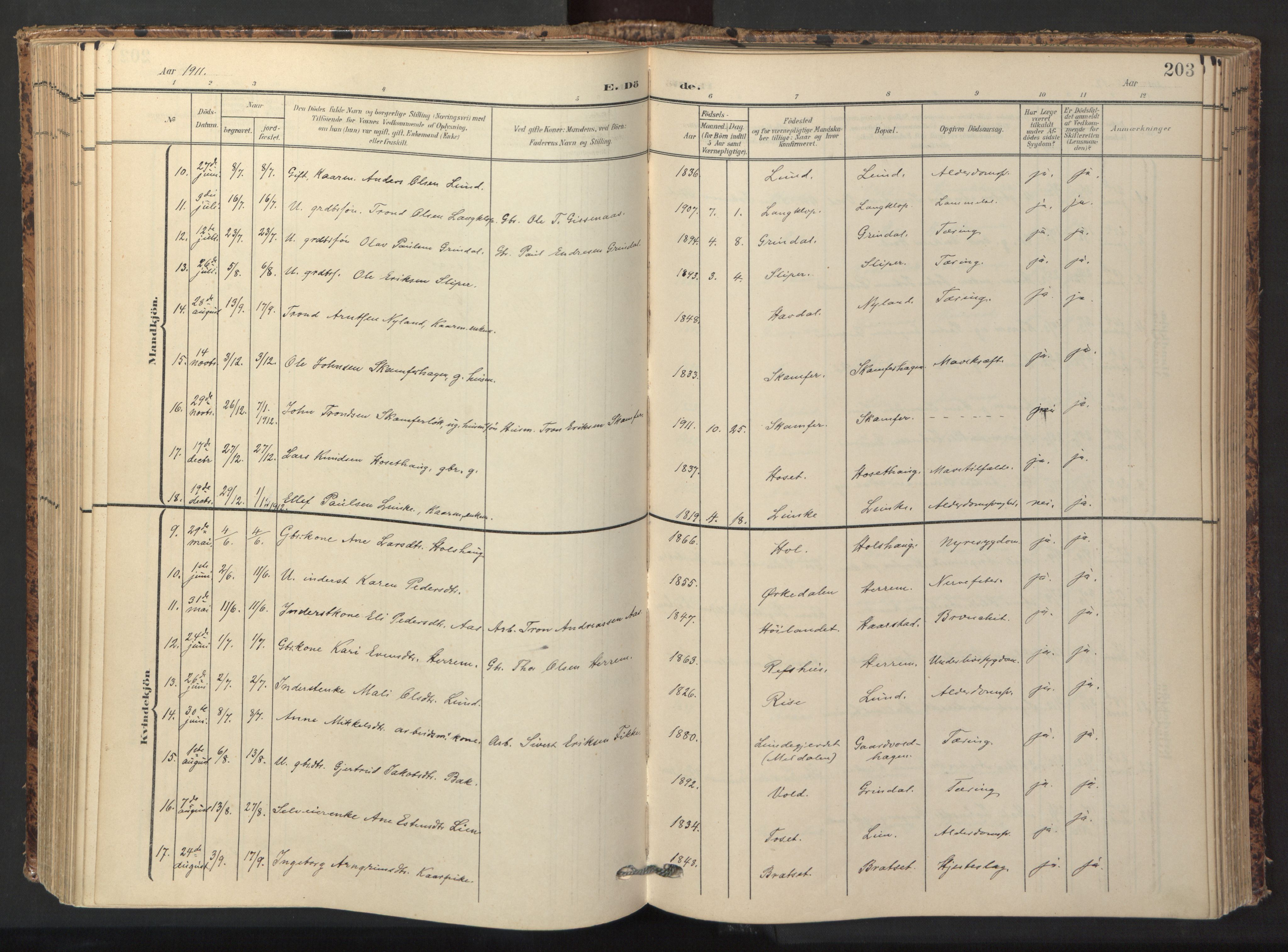 Ministerialprotokoller, klokkerbøker og fødselsregistre - Sør-Trøndelag, SAT/A-1456/674/L0873: Parish register (official) no. 674A05, 1908-1923, p. 203