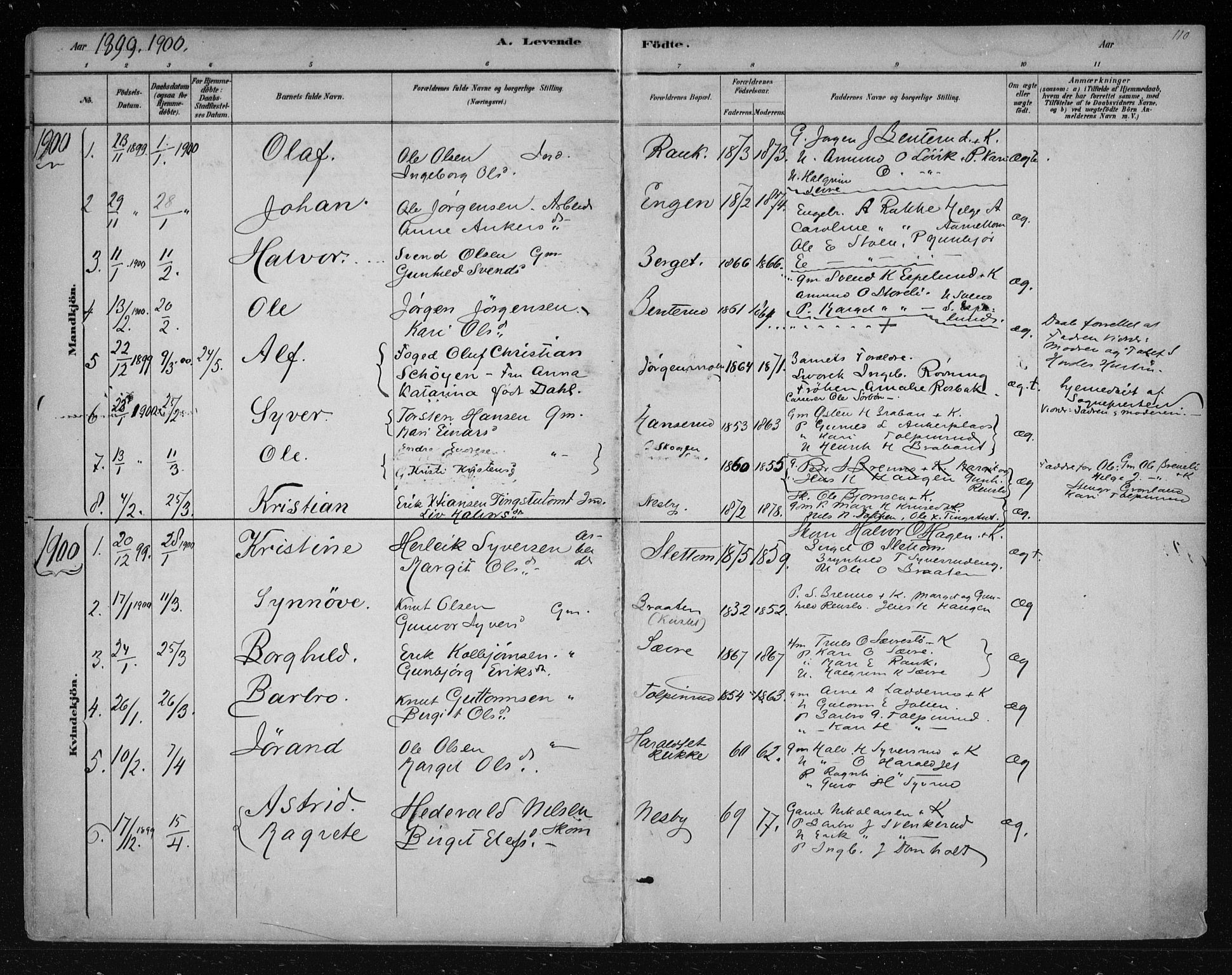 Nes kirkebøker, AV/SAKO-A-236/F/Fa/L0011: Parish register (official) no. 11, 1881-1912, p. 110