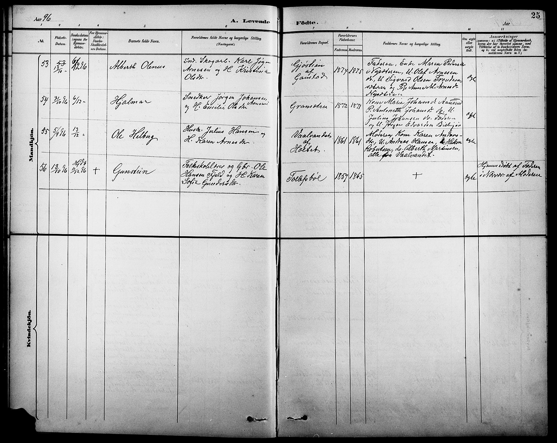 Eidskog prestekontor, AV/SAH-PREST-026/H/Ha/Hab/L0001: Parish register (copy) no. 1, 1895-1917, p. 25