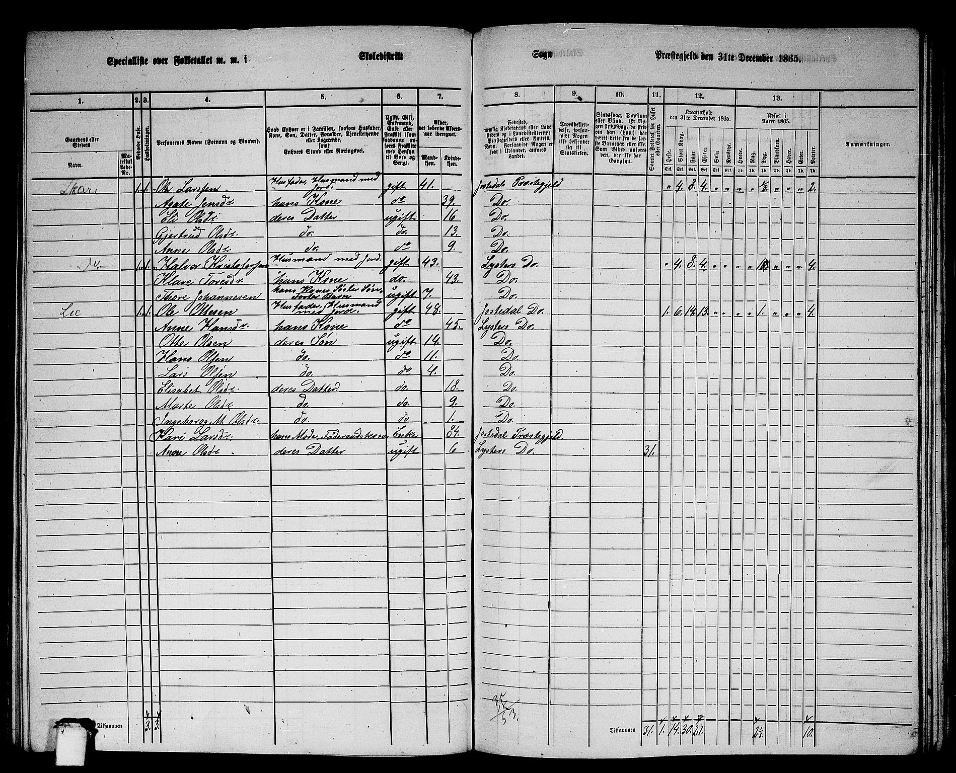 RA, 1865 census for Luster, 1865, p. 115