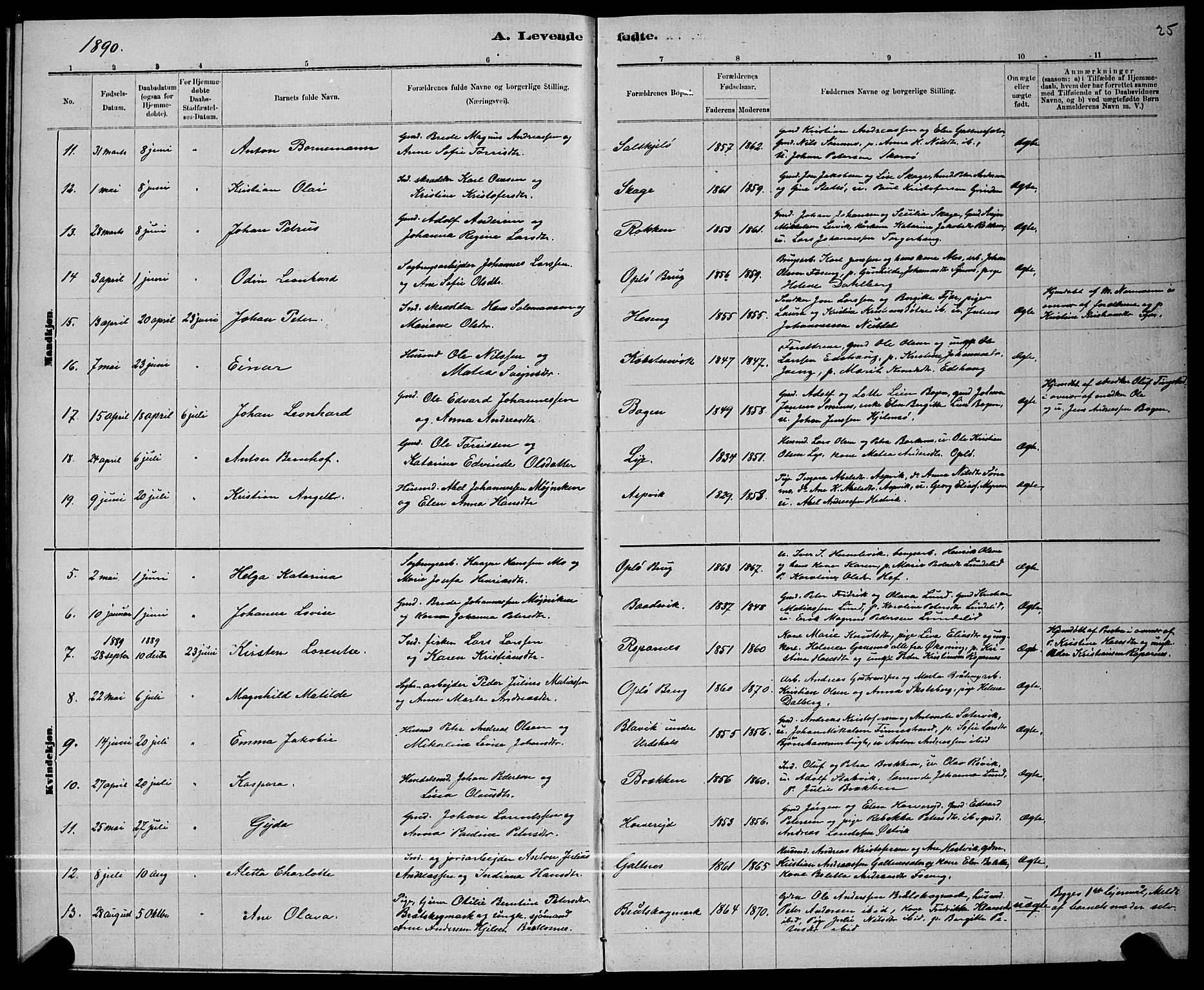 Ministerialprotokoller, klokkerbøker og fødselsregistre - Nord-Trøndelag, SAT/A-1458/780/L0651: Parish register (copy) no. 780C03, 1884-1898, p. 25