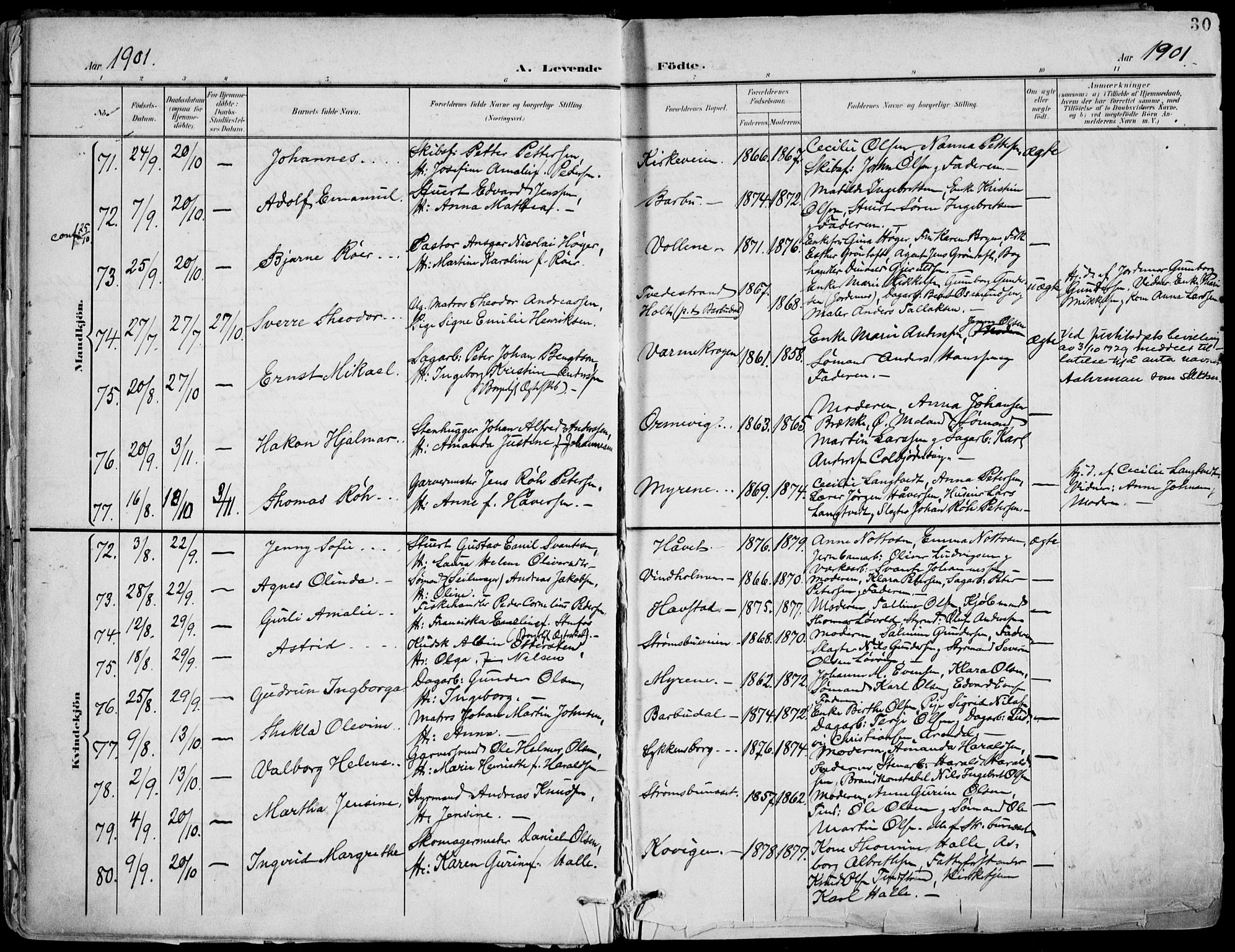 Barbu sokneprestkontor, AV/SAK-1111-0003/F/Fa/L0005: Parish register (official) no. A 5, 1899-1909, p. 30