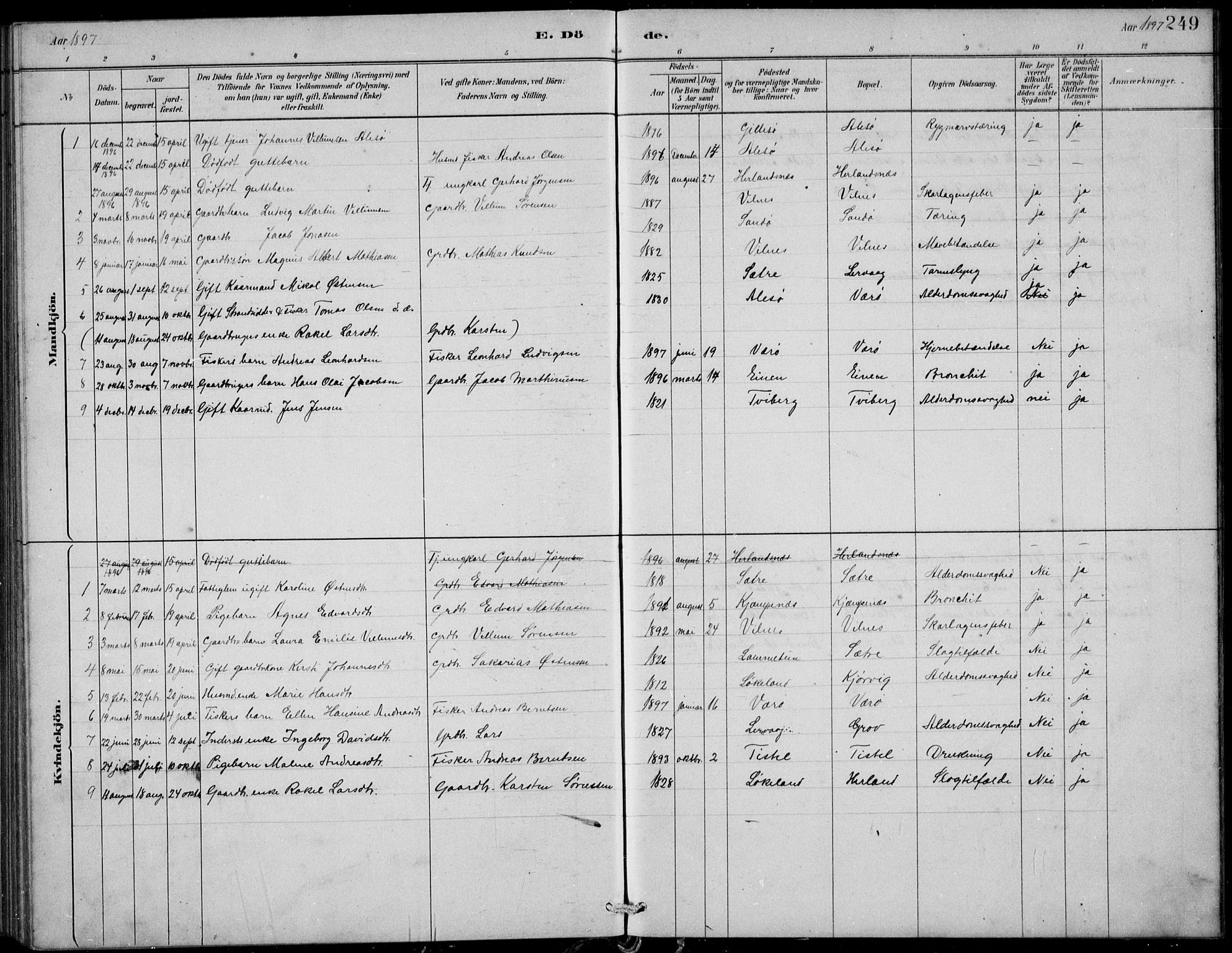 Askvoll sokneprestembete, AV/SAB-A-79501/H/Hab/Habb/L0001: Parish register (copy) no. B 1, 1879-1909, p. 249