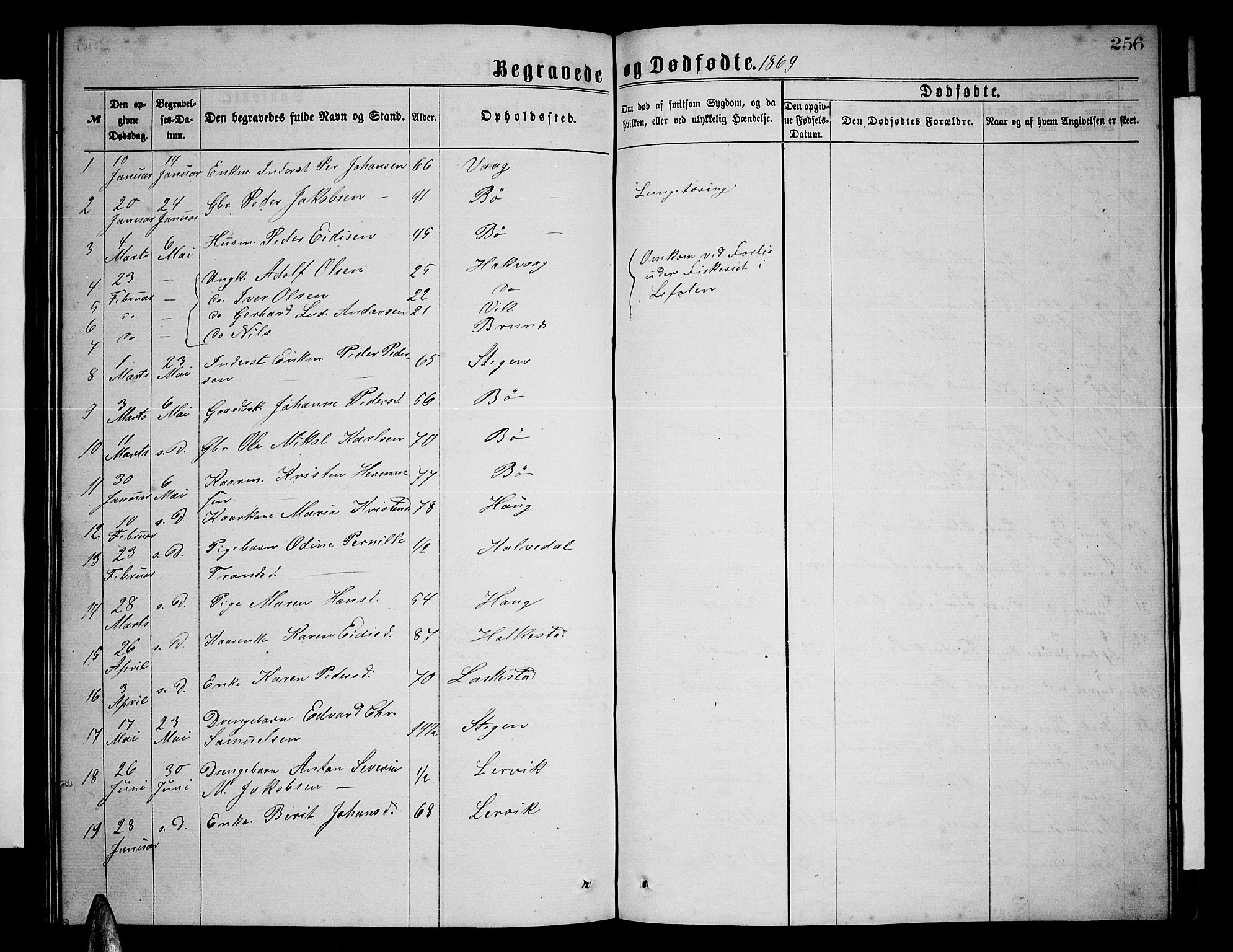 Ministerialprotokoller, klokkerbøker og fødselsregistre - Nordland, AV/SAT-A-1459/855/L0815: Parish register (copy) no. 855C04, 1865-1878, p. 256