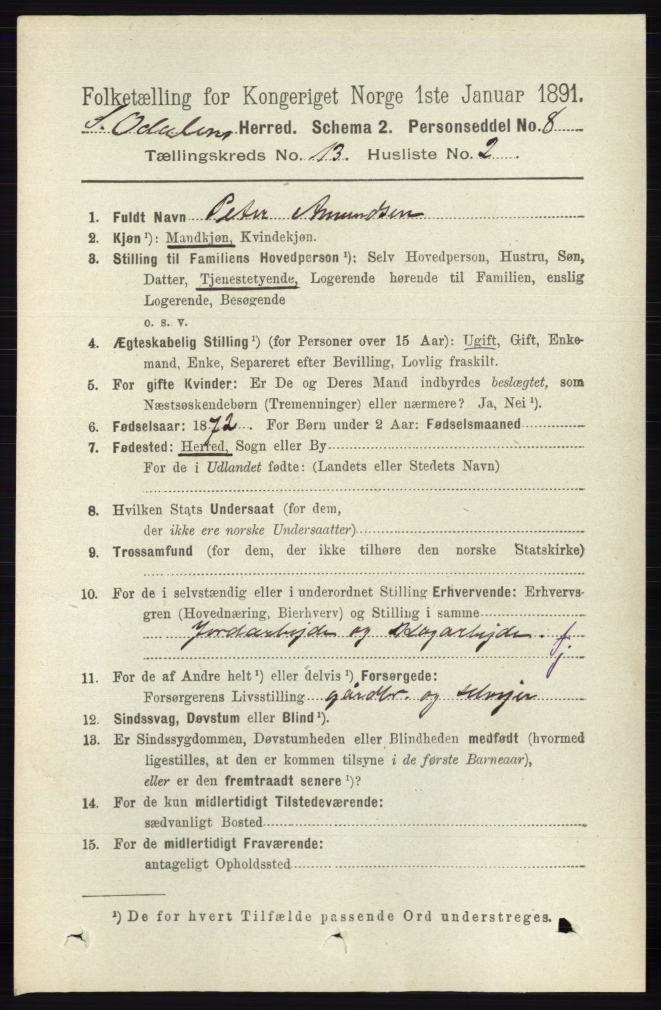 RA, 1891 census for 0419 Sør-Odal, 1891, p. 5576