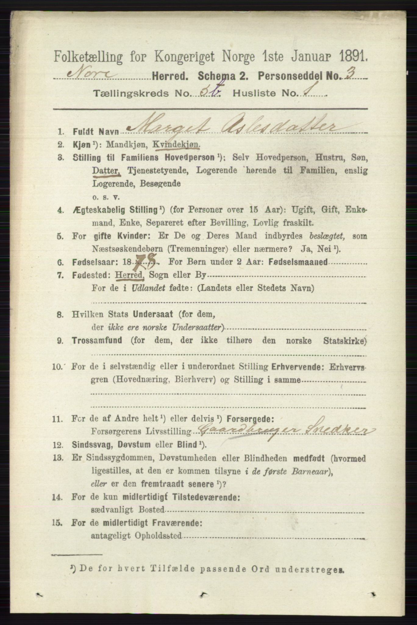 RA, 1891 census for 0633 Nore, 1891, p. 1780