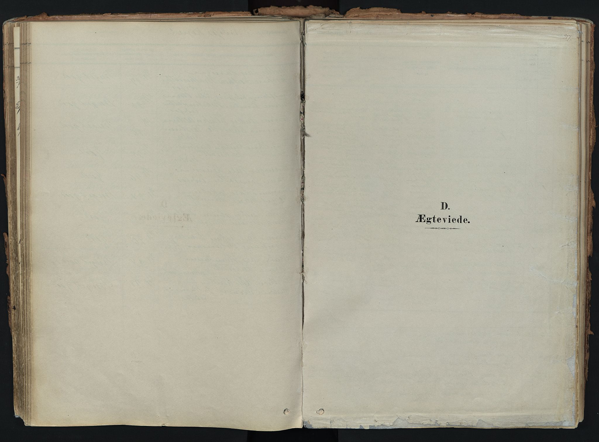 Hof kirkebøker, SAKO/A-64/F/Fa/L0007: Parish register (official) no. I 7, 1878-1940, p. 217