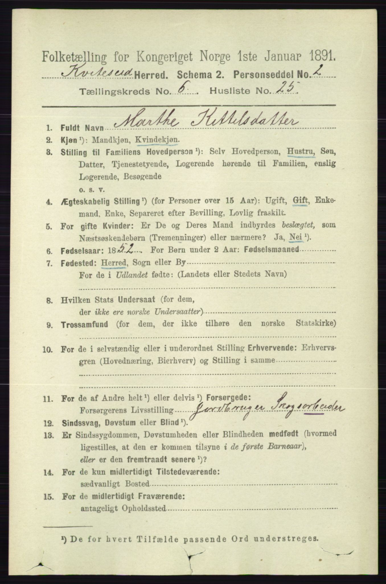 RA, 1891 census for 0829 Kviteseid, 1891, p. 1316