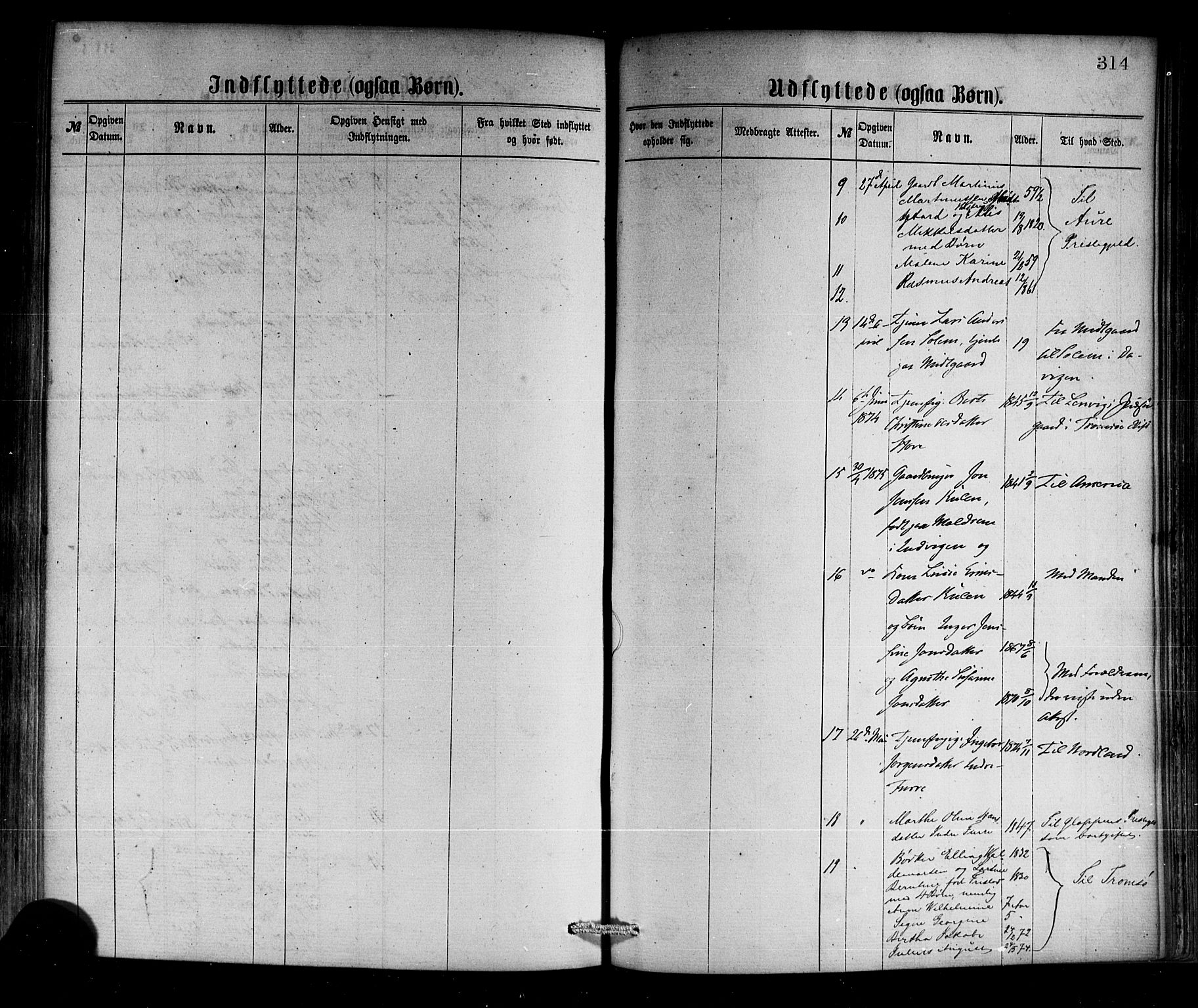 Selje sokneprestembete, SAB/A-99938/H/Ha/Haa/Haaa: Parish register (official) no. A 12, 1870-1880, p. 314
