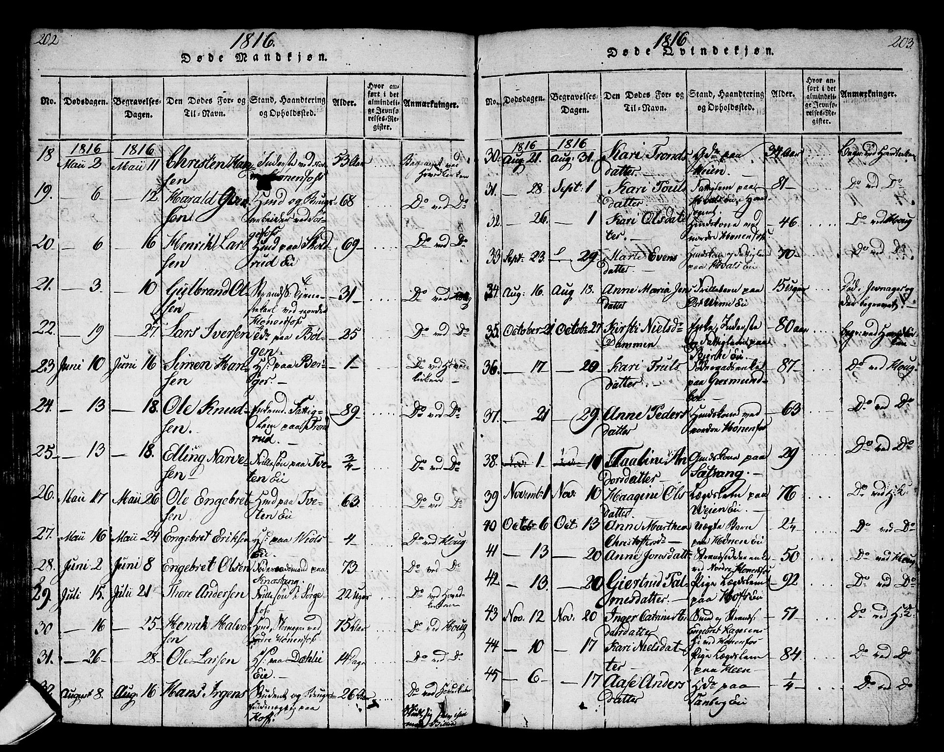 Norderhov kirkebøker, AV/SAKO-A-237/G/Ga/L0002: Parish register (copy) no. I 2, 1814-1867, p. 202-203