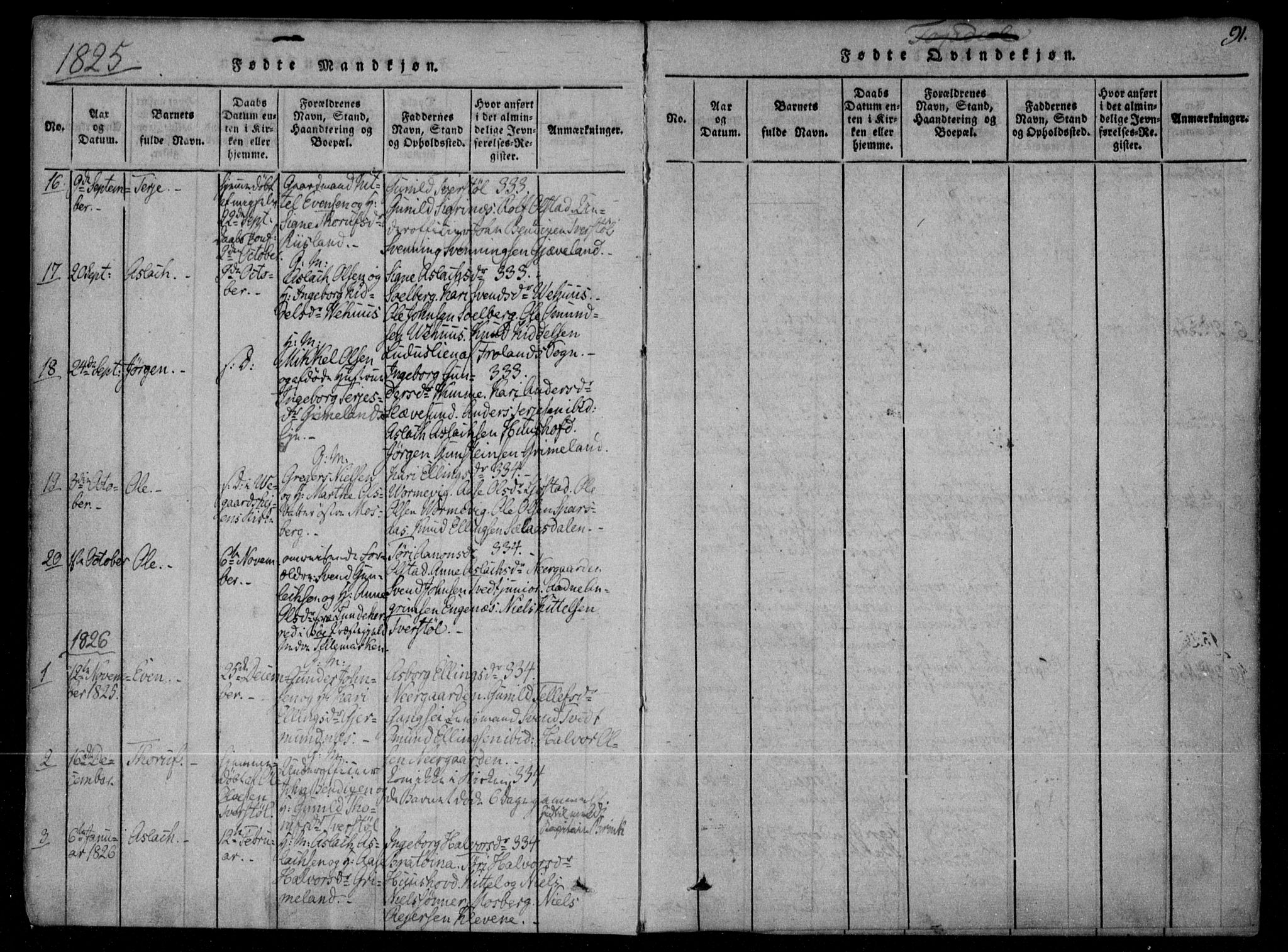 Åmli sokneprestkontor, AV/SAK-1111-0050/F/Fa/Fac/L0006: Parish register (official) no. A 6, 1816-1829, p. 91