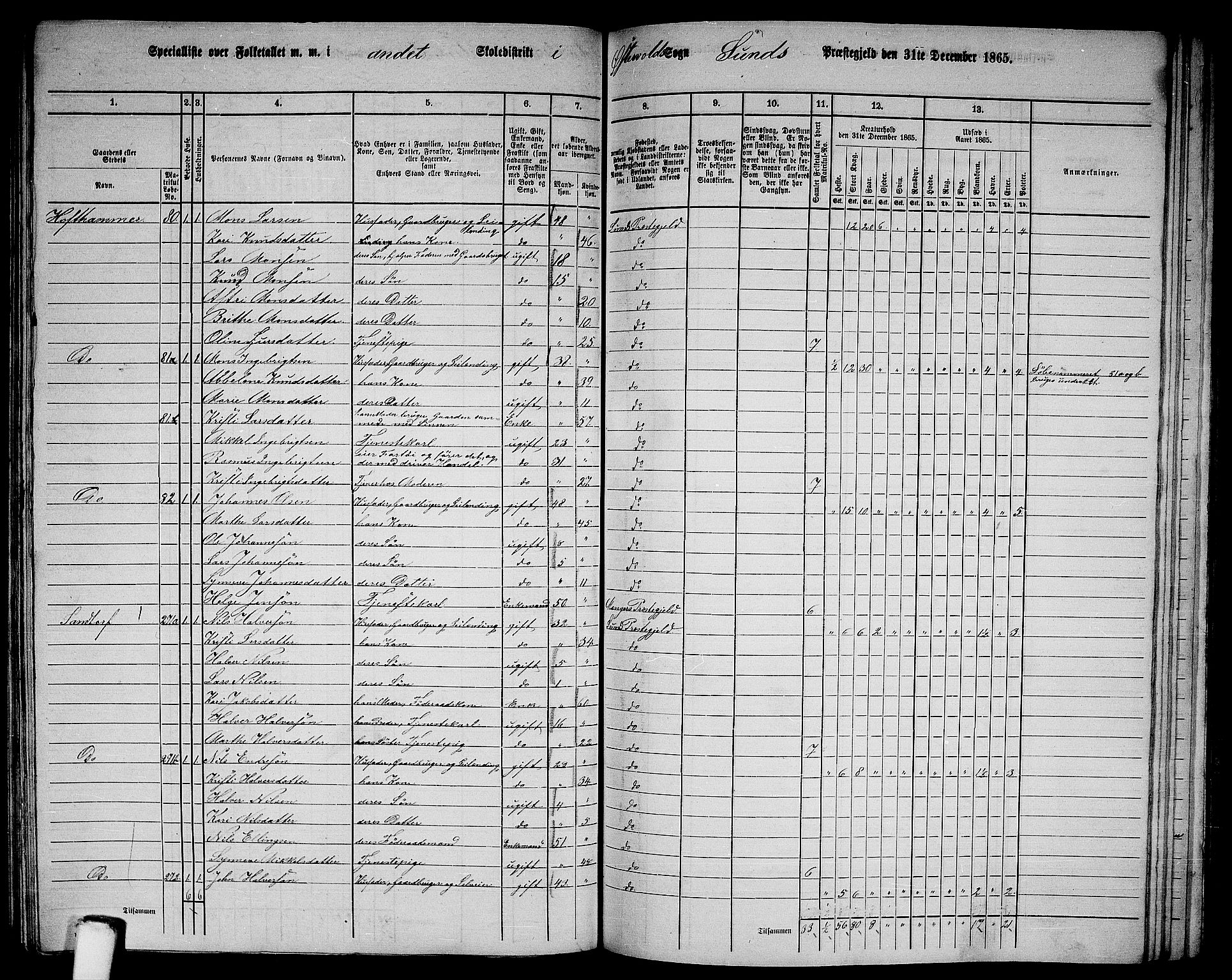 RA, 1865 census for Sund, 1865, p. 110