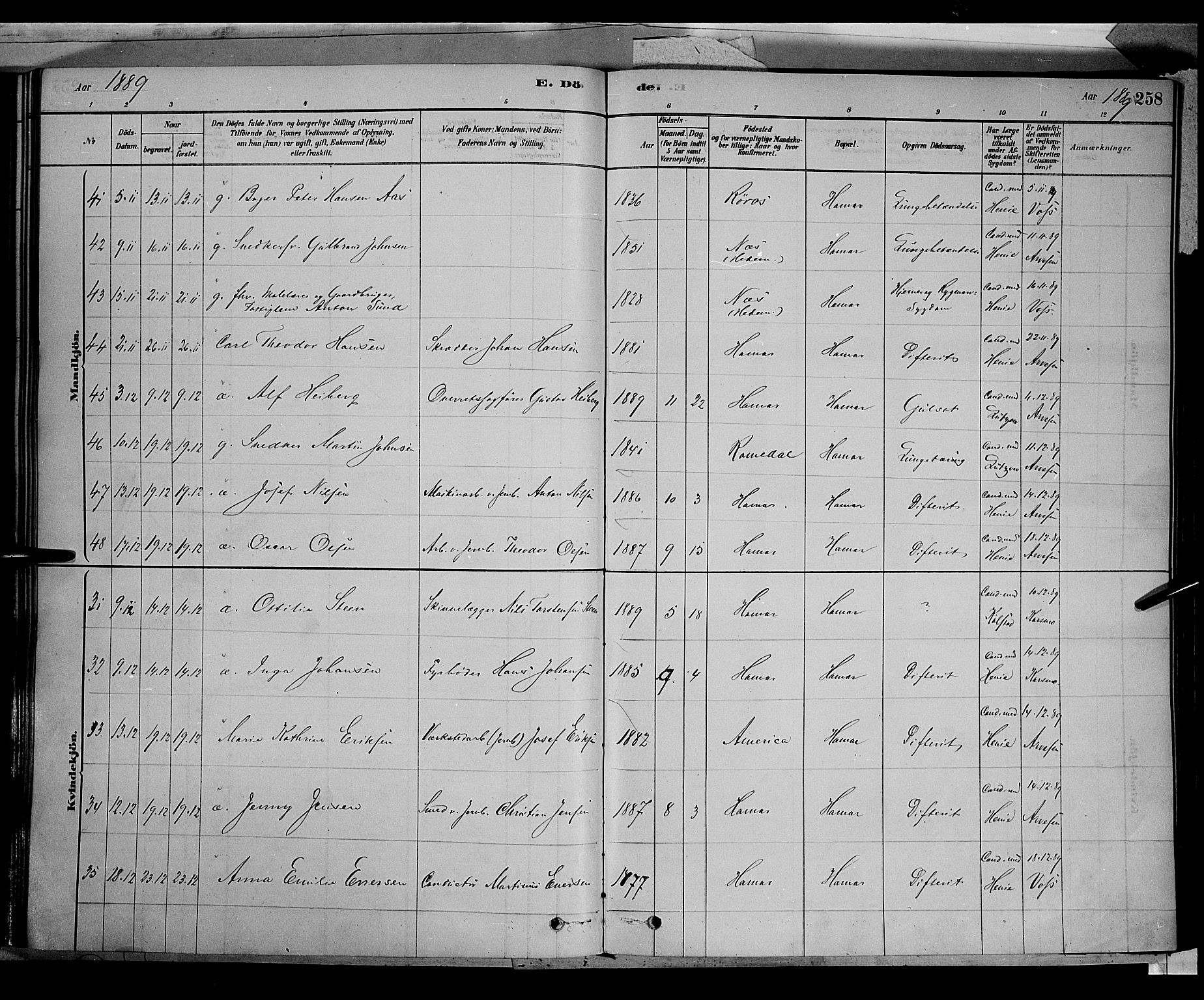 Vang prestekontor, Hedmark, AV/SAH-PREST-008/H/Ha/Haa/L0016: Parish register (official) no. 16, 1878-1889, p. 258