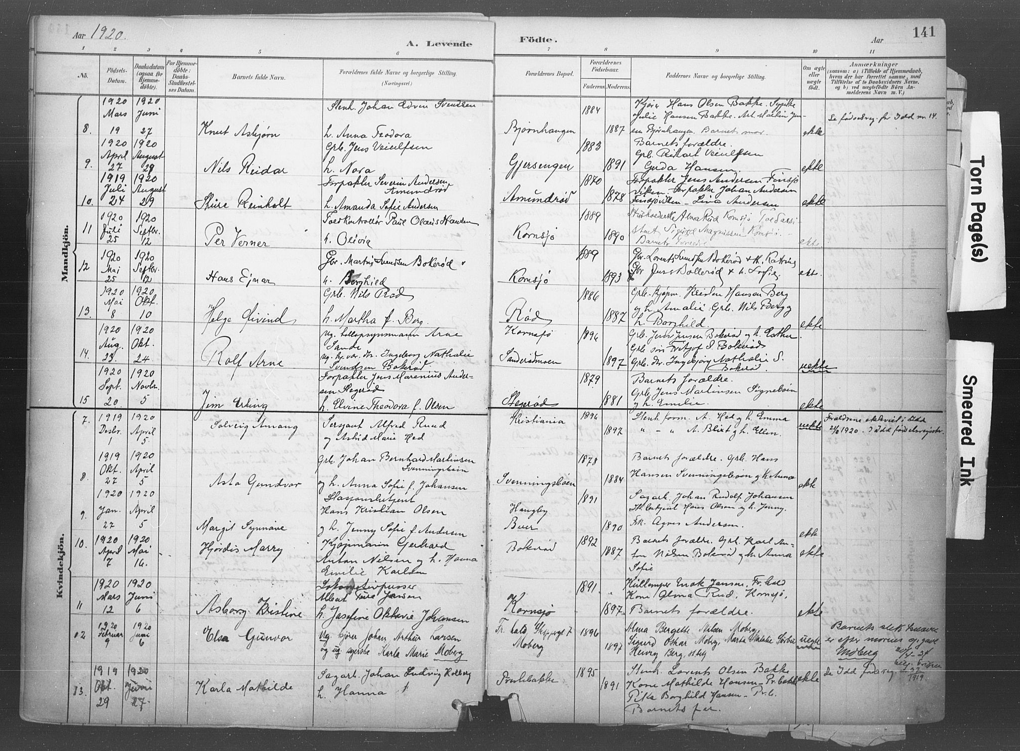 Idd prestekontor Kirkebøker, SAO/A-10911/F/Fb/L0002: Parish register (official) no. II 2, 1882-1923, p. 141