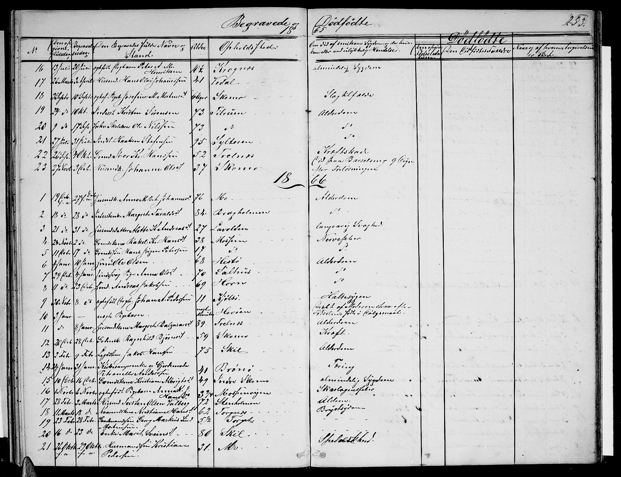 Ministerialprotokoller, klokkerbøker og fødselsregistre - Nordland, AV/SAT-A-1459/813/L0212: Parish register (copy) no. 813C04, 1864-1886, p. 253