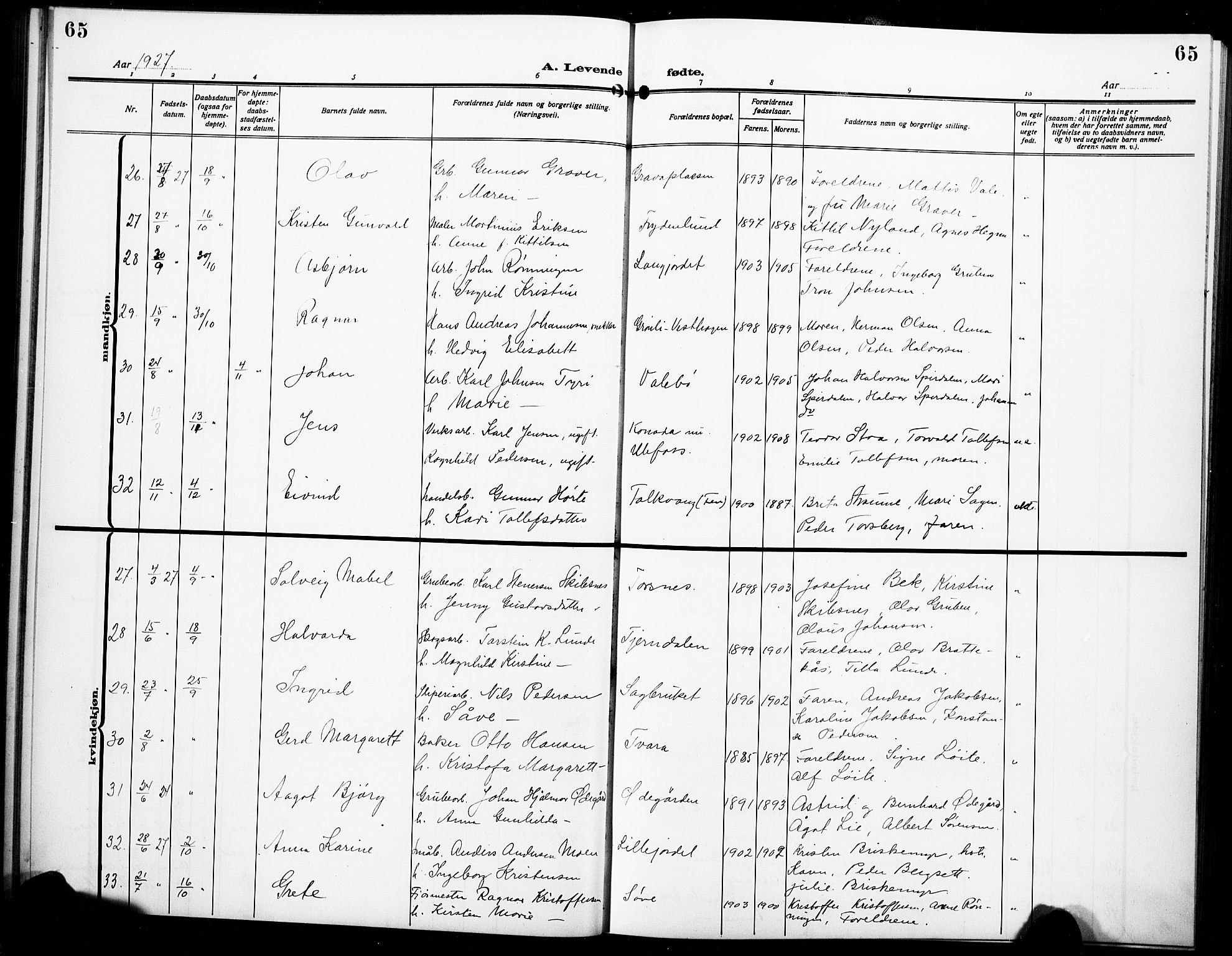 Holla kirkebøker, SAKO/A-272/G/Ga/L0006: Parish register (copy) no. I 6, 1917-1928, p. 65