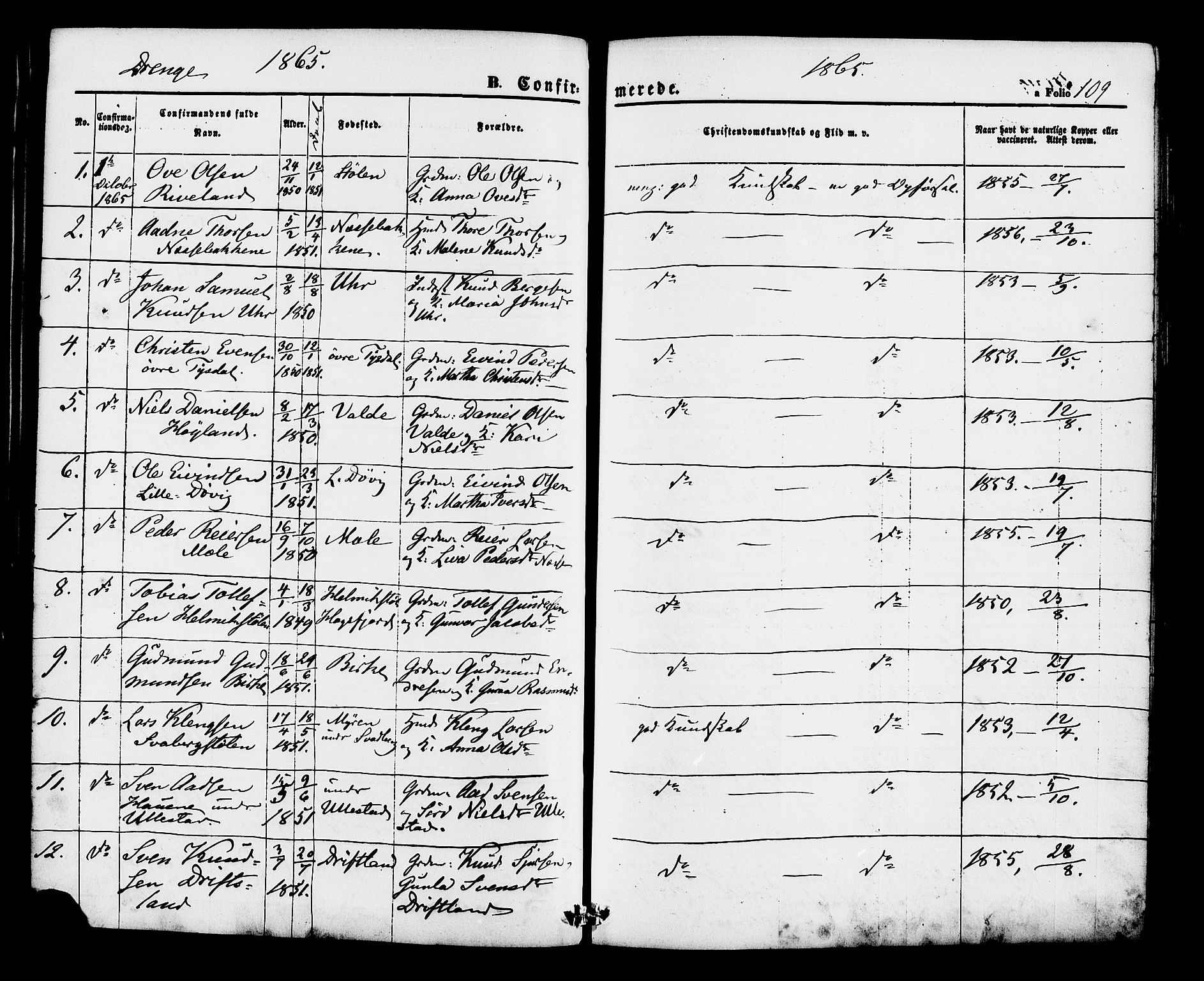 Hjelmeland sokneprestkontor, AV/SAST-A-101843/01/IV/L0012: Parish register (official) no. A 12, 1862-1886, p. 109