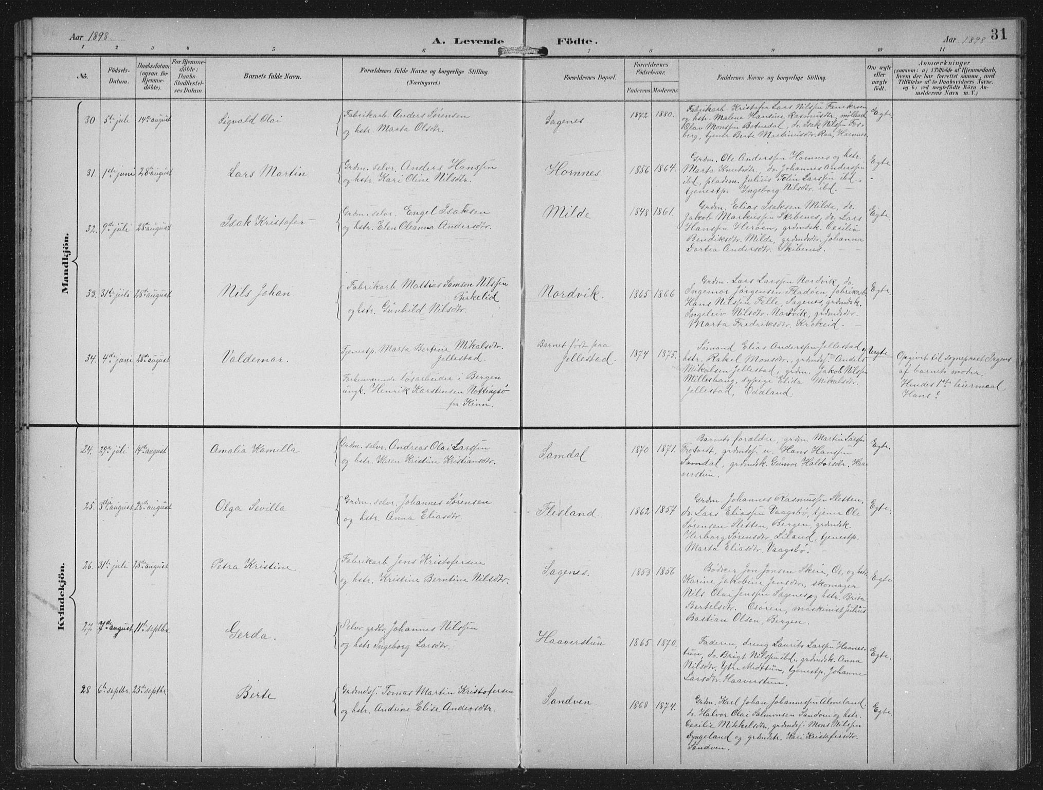 Fana Sokneprestembete, AV/SAB-A-75101/H/Hab/Haba/L0003: Parish register (copy) no. A 3, 1895-1902, p. 31