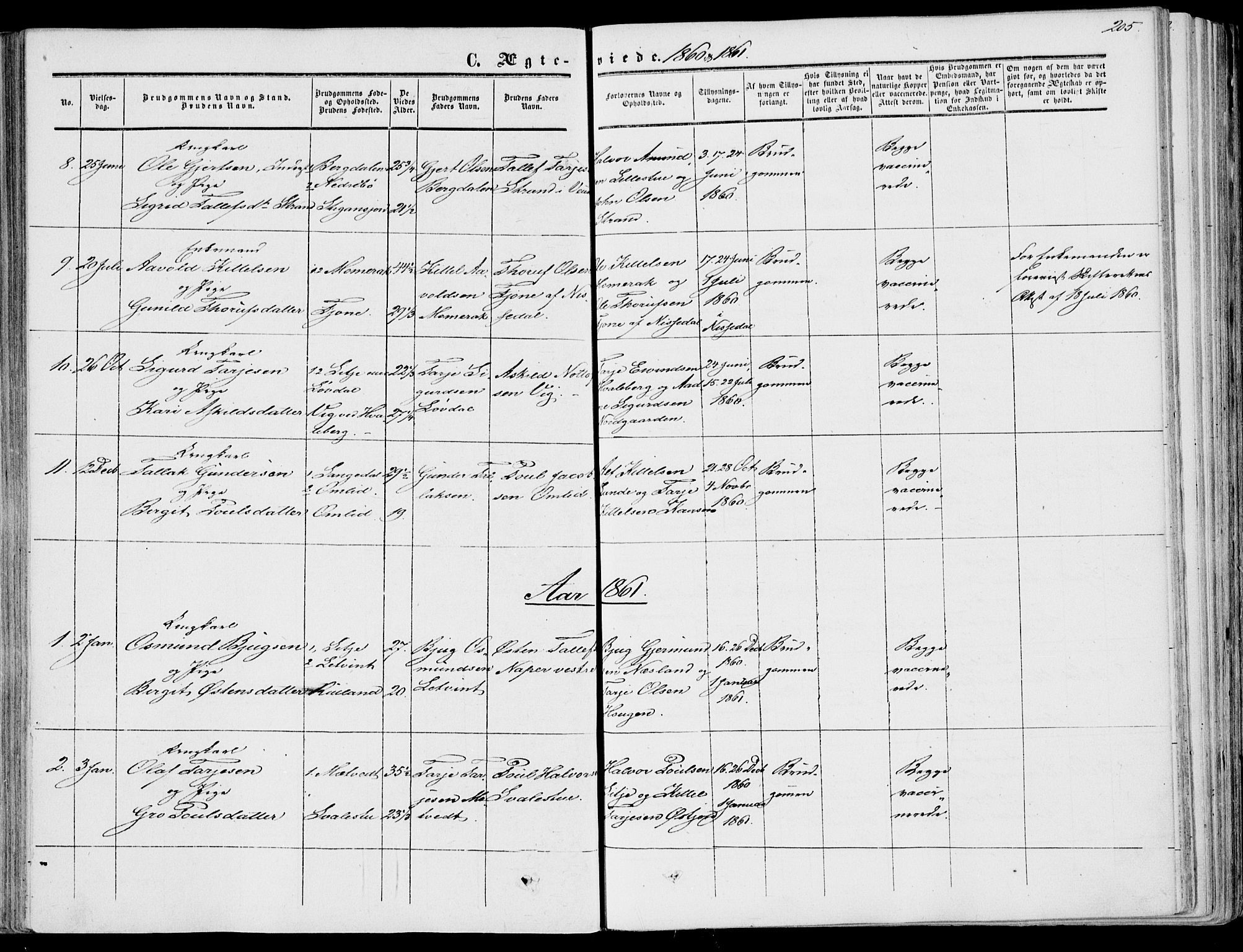 Fyresdal kirkebøker, SAKO/A-263/F/Fa/L0005: Parish register (official) no. I 5, 1855-1871, p. 205