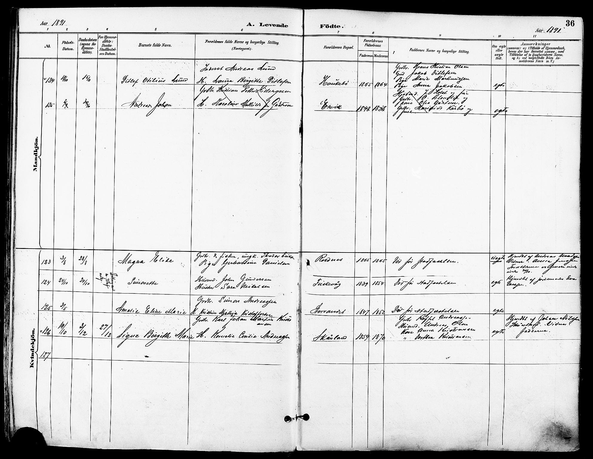 Trondenes sokneprestkontor, SATØ/S-1319/H/Ha/L0016kirke: Parish register (official) no. 16, 1890-1898, p. 36