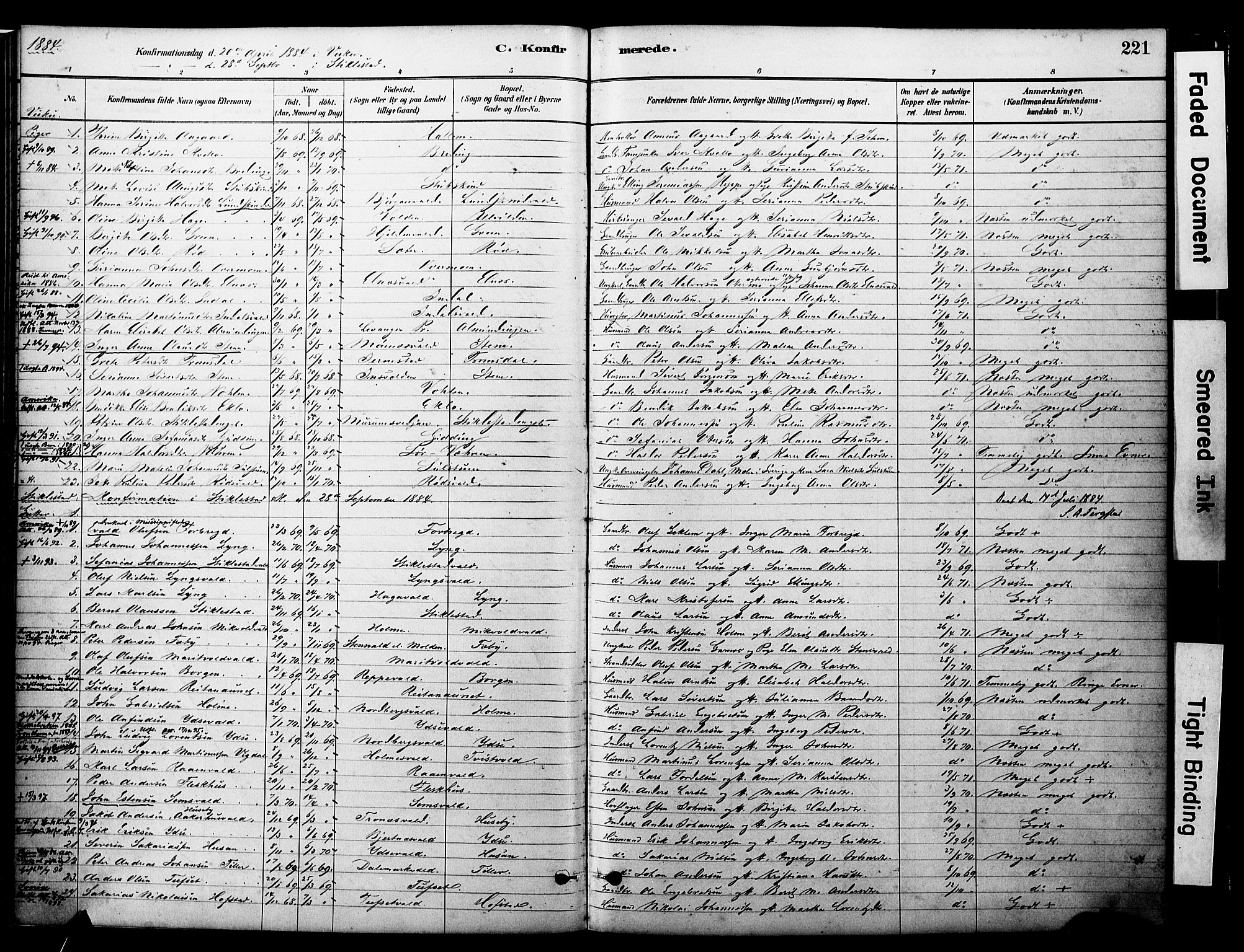 Ministerialprotokoller, klokkerbøker og fødselsregistre - Nord-Trøndelag, SAT/A-1458/723/L0244: Parish register (official) no. 723A13, 1881-1899, p. 221