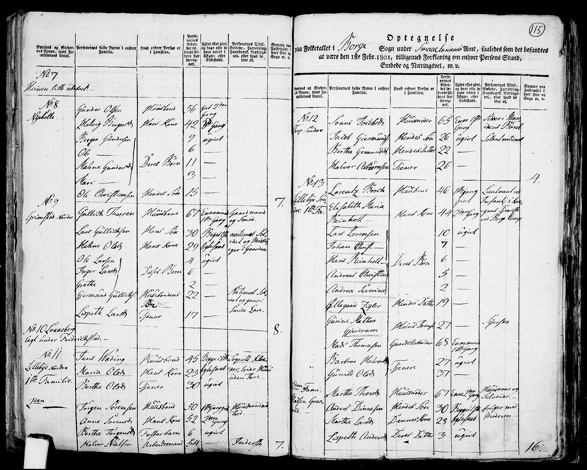 RA, 1801 census for 0113P Borge, 1801, p. 114b-115a