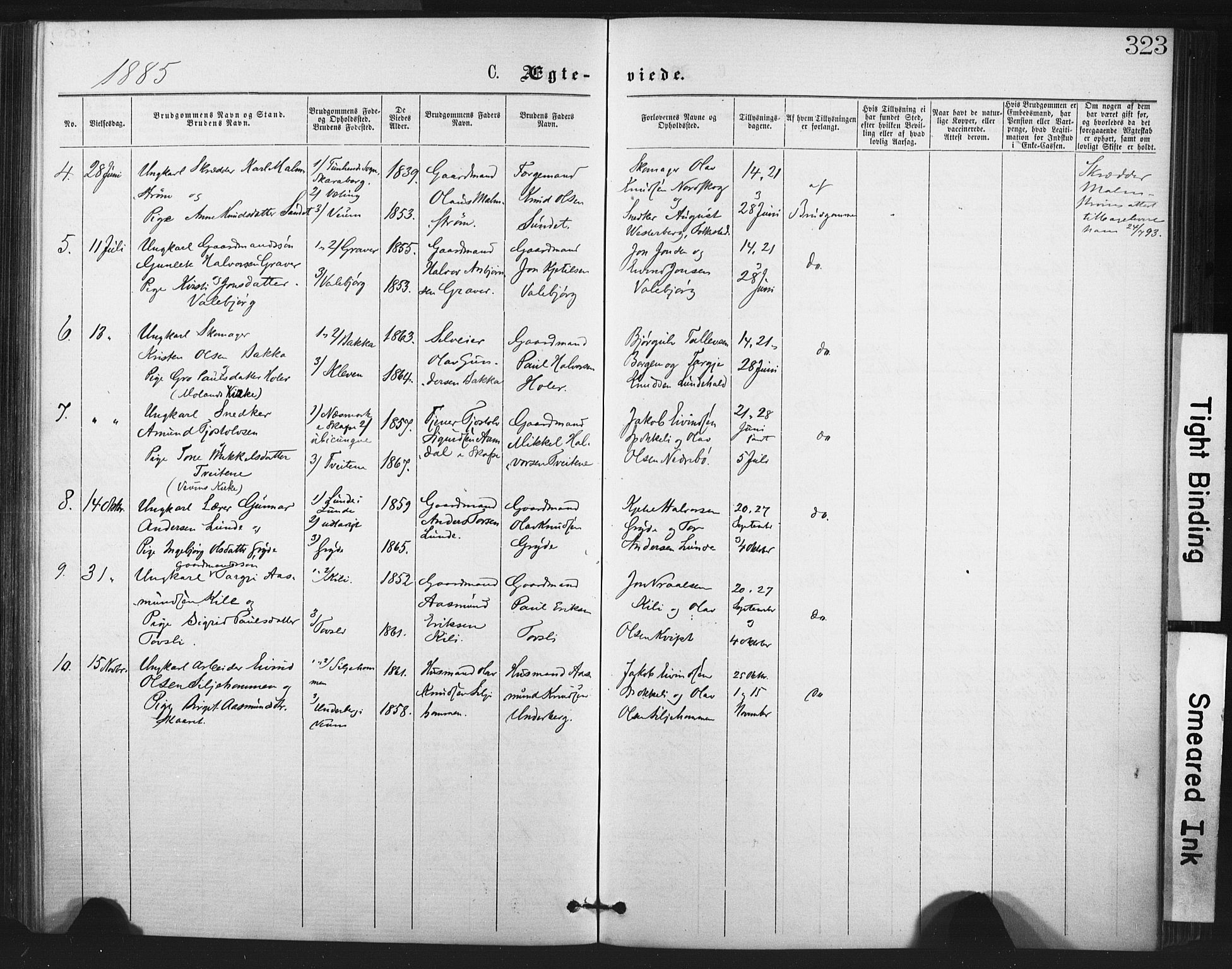 Fyresdal kirkebøker, SAKO/A-263/F/Fa/L0006: Parish register (official) no. I 6, 1872-1886, p. 323