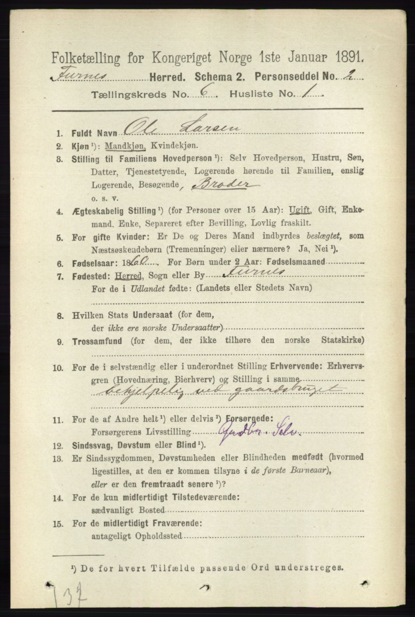 RA, Census 1891 for 0413 Furnes herred, 1891, p. 4161