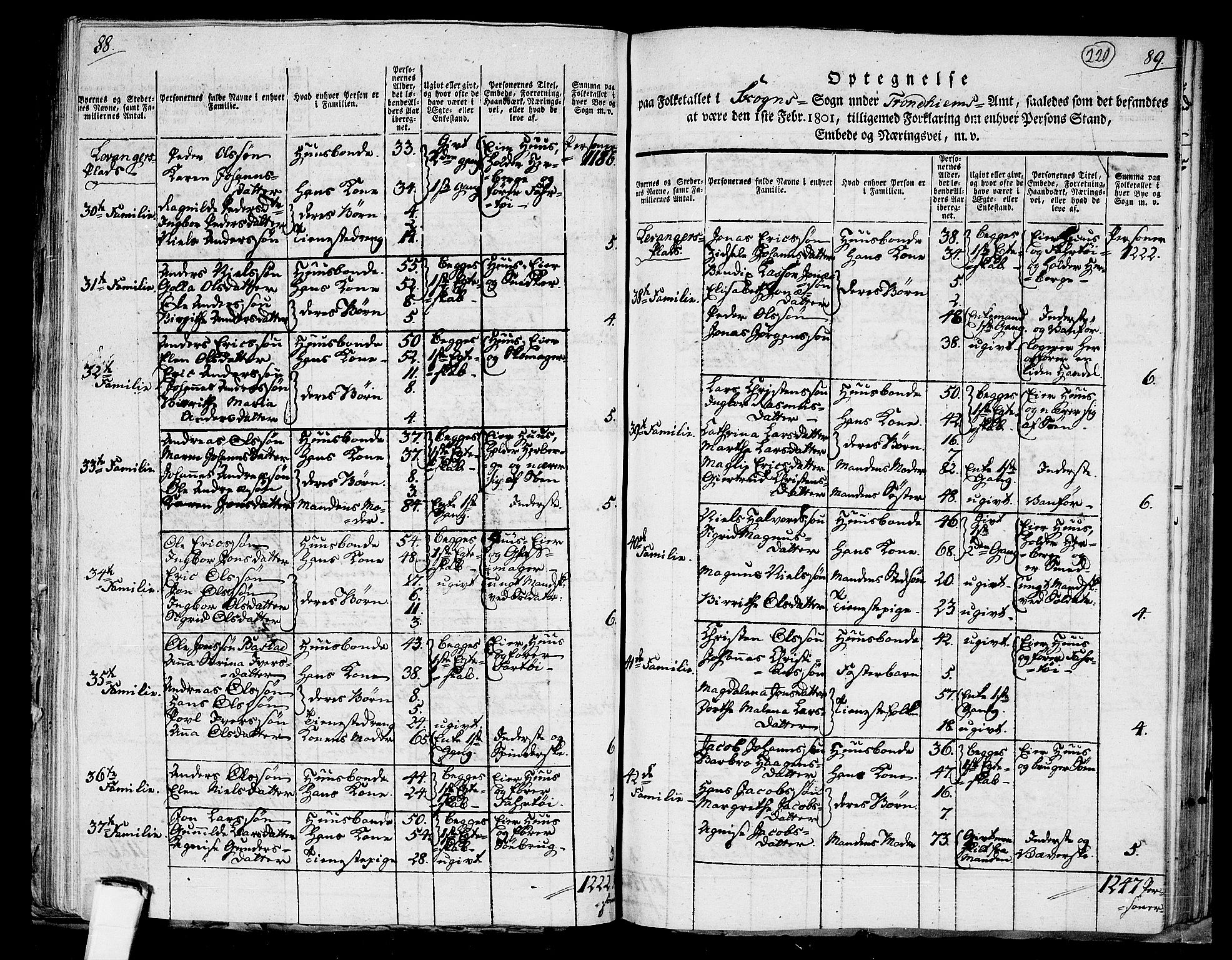 RA, 1801 census for 1719P Skogn, 1801, p. 219b-220a