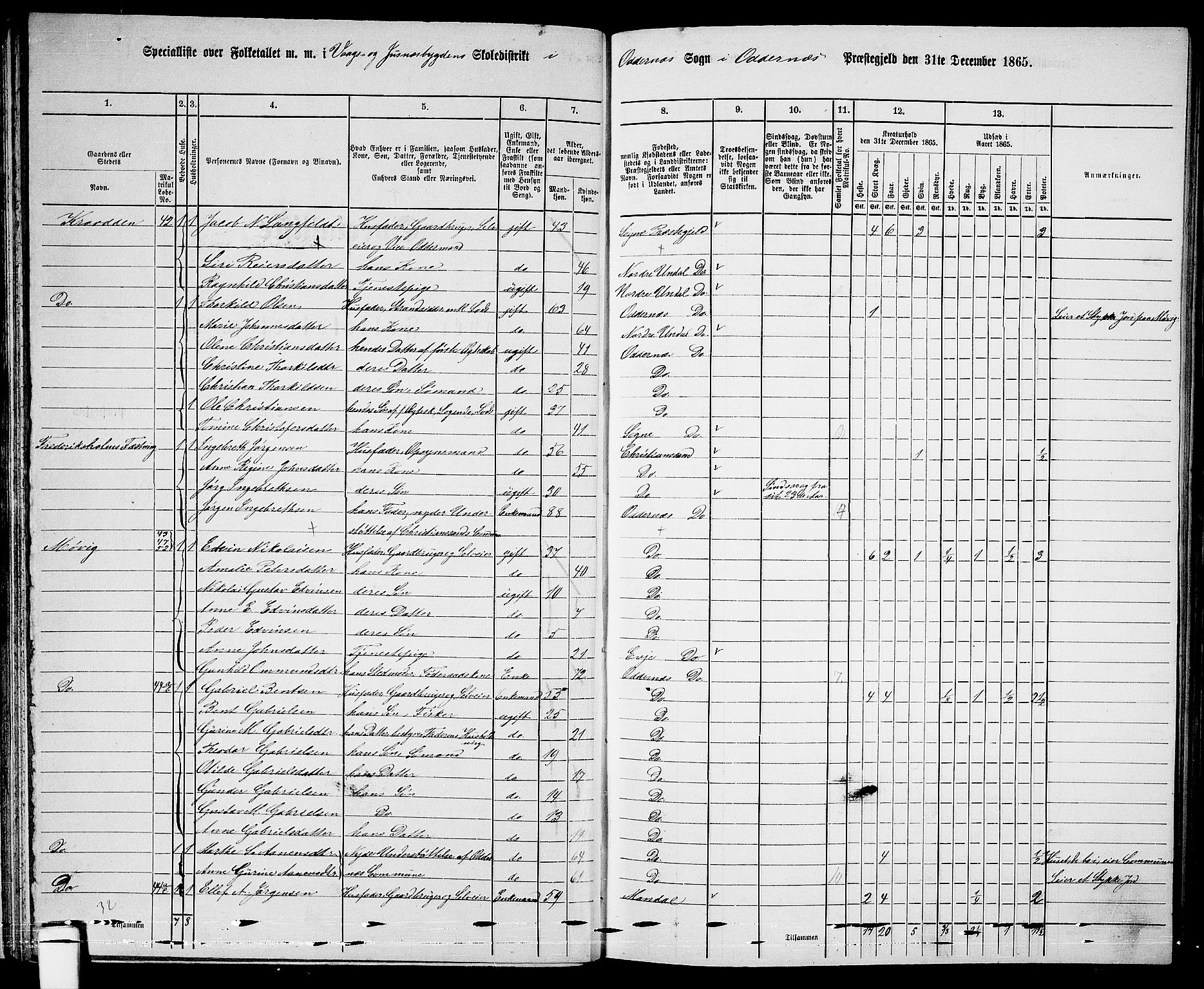 RA, 1865 census for Oddernes, 1865, p. 37