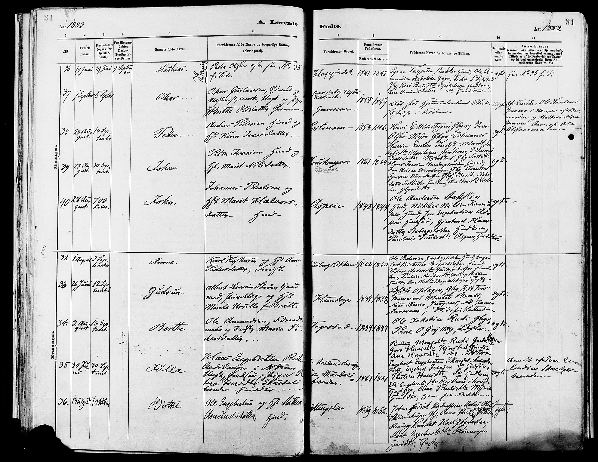 Sør-Fron prestekontor, AV/SAH-PREST-010/H/Ha/Haa/L0003: Parish register (official) no. 3, 1881-1897, p. 31