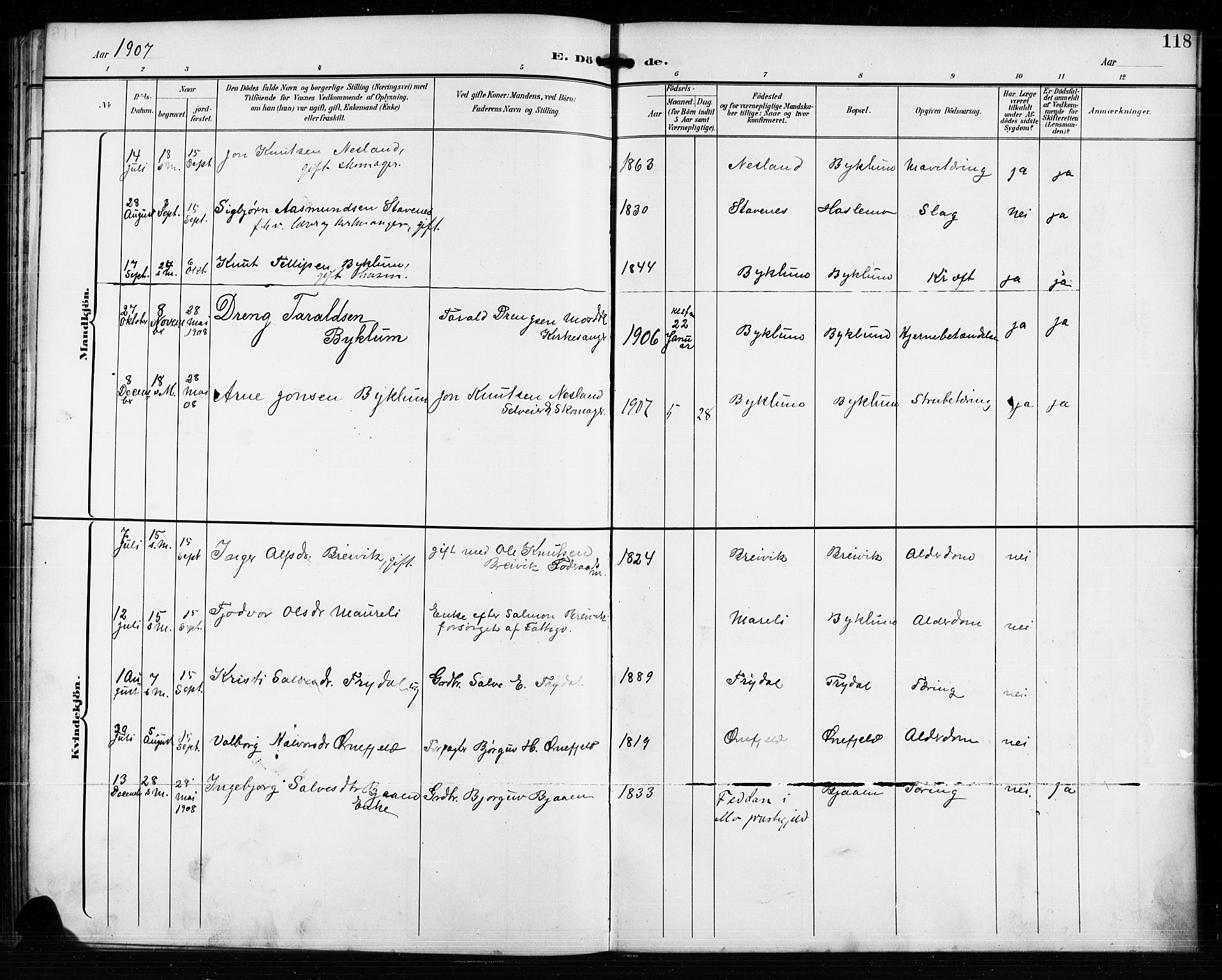 Valle sokneprestkontor, AV/SAK-1111-0044/F/Fb/Fba/L0003: Parish register (copy) no. B 3, 1895-1916, p. 118