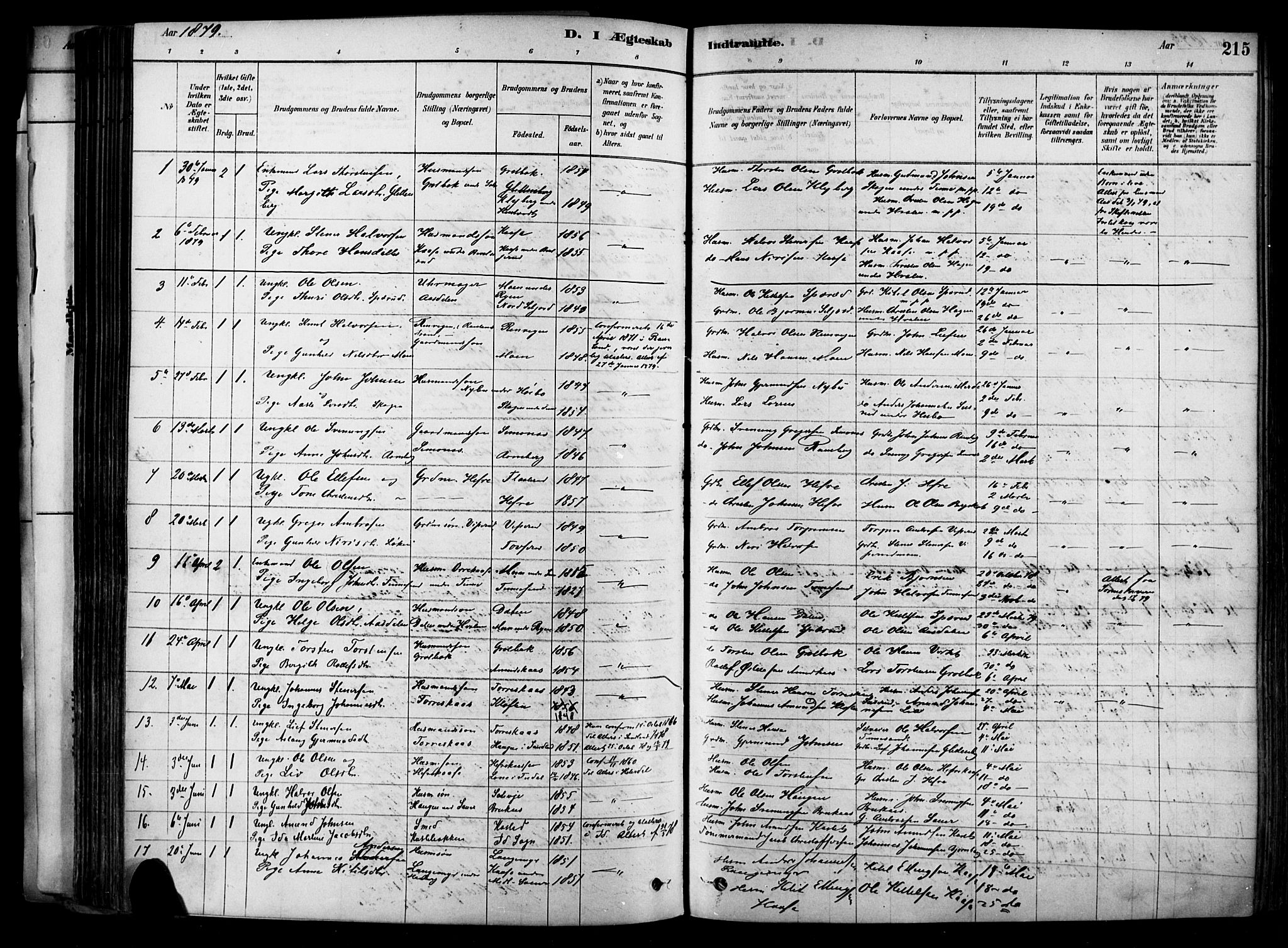 Heddal kirkebøker, SAKO/A-268/F/Fa/L0008: Parish register (official) no. I 8, 1878-1903, p. 215