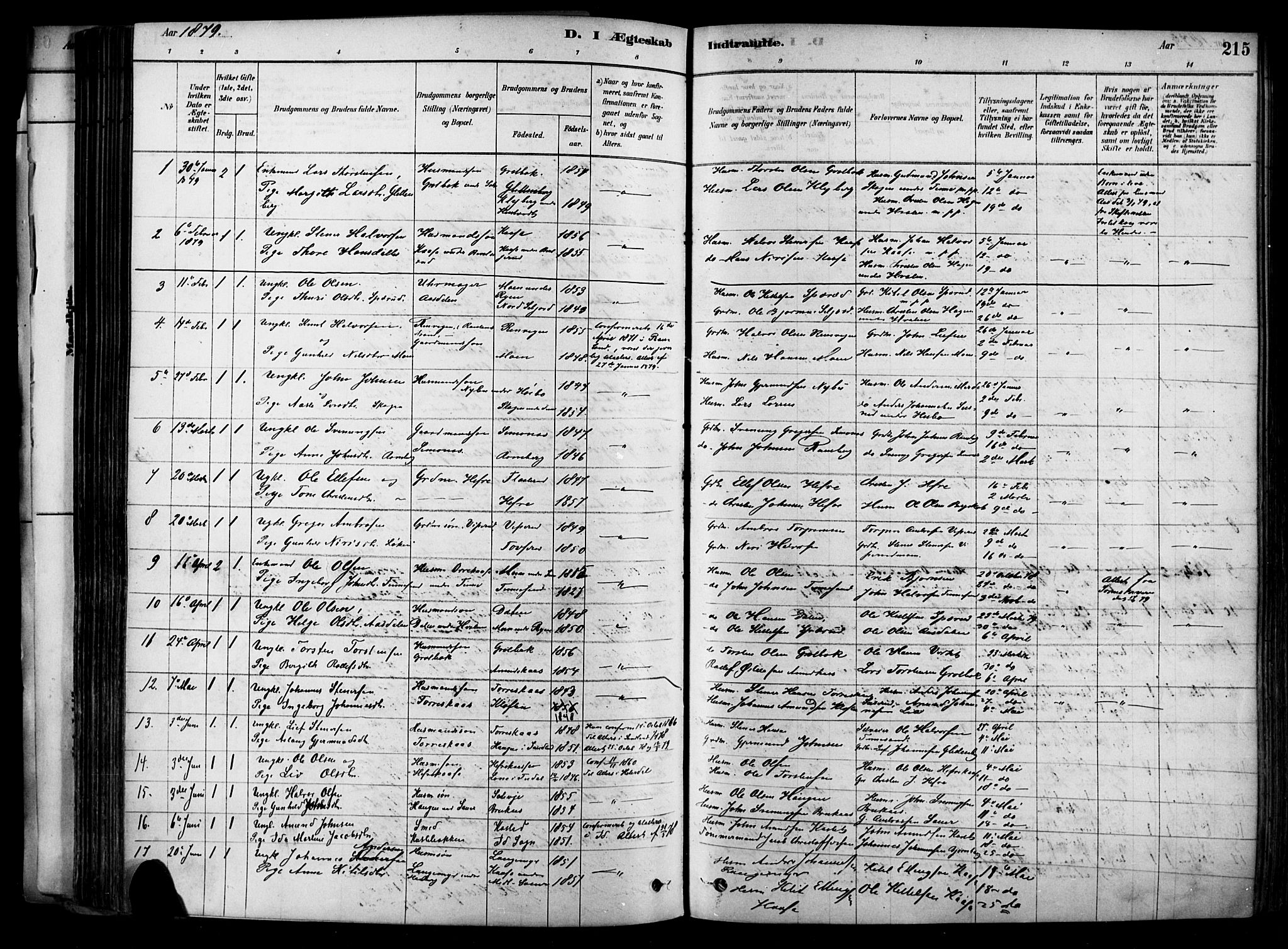 Heddal kirkebøker, AV/SAKO-A-268/F/Fa/L0008: Parish register (official) no. I 8, 1878-1903, p. 215