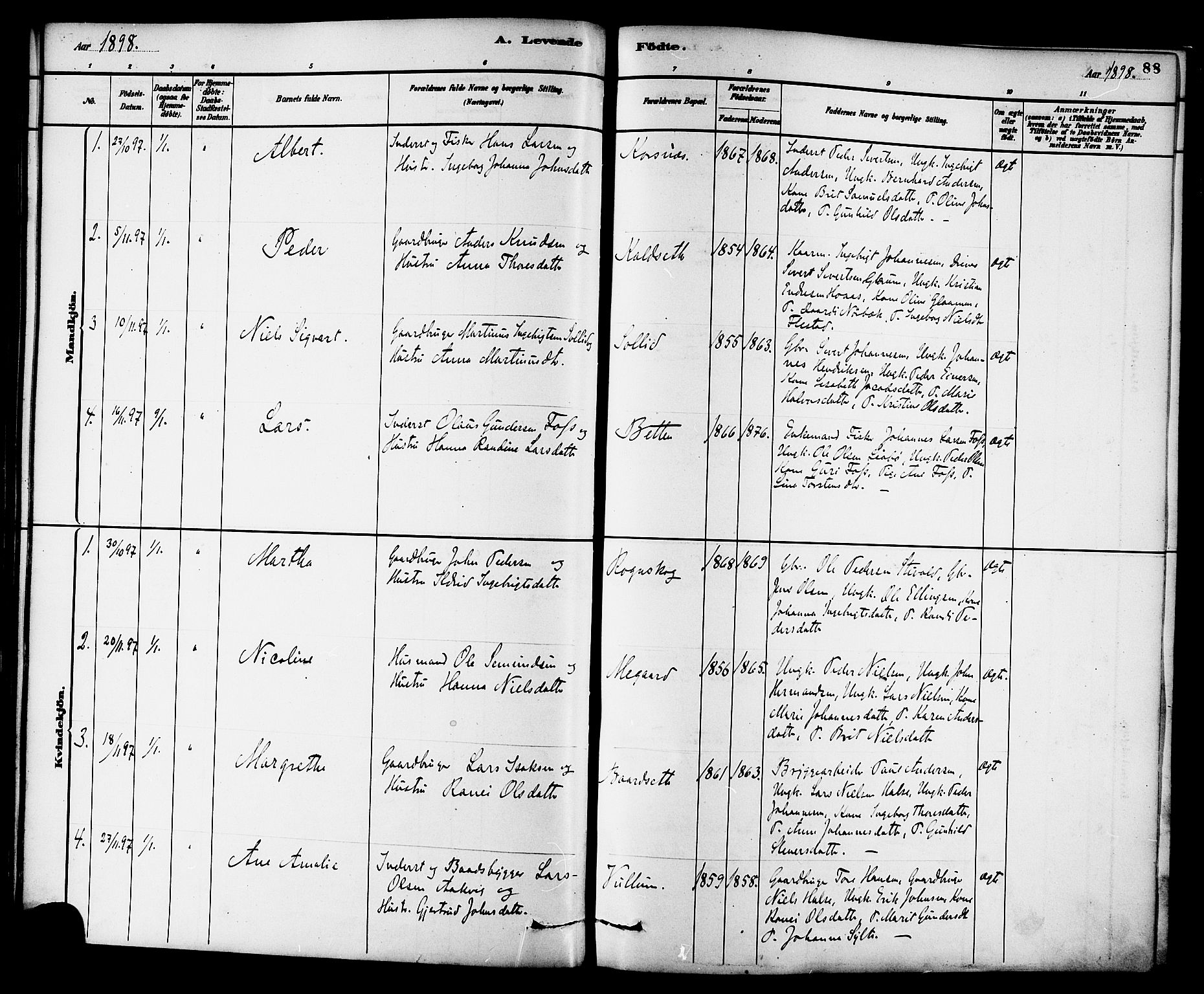 Ministerialprotokoller, klokkerbøker og fødselsregistre - Møre og Romsdal, AV/SAT-A-1454/576/L0885: Parish register (official) no. 576A03, 1880-1898, p. 88